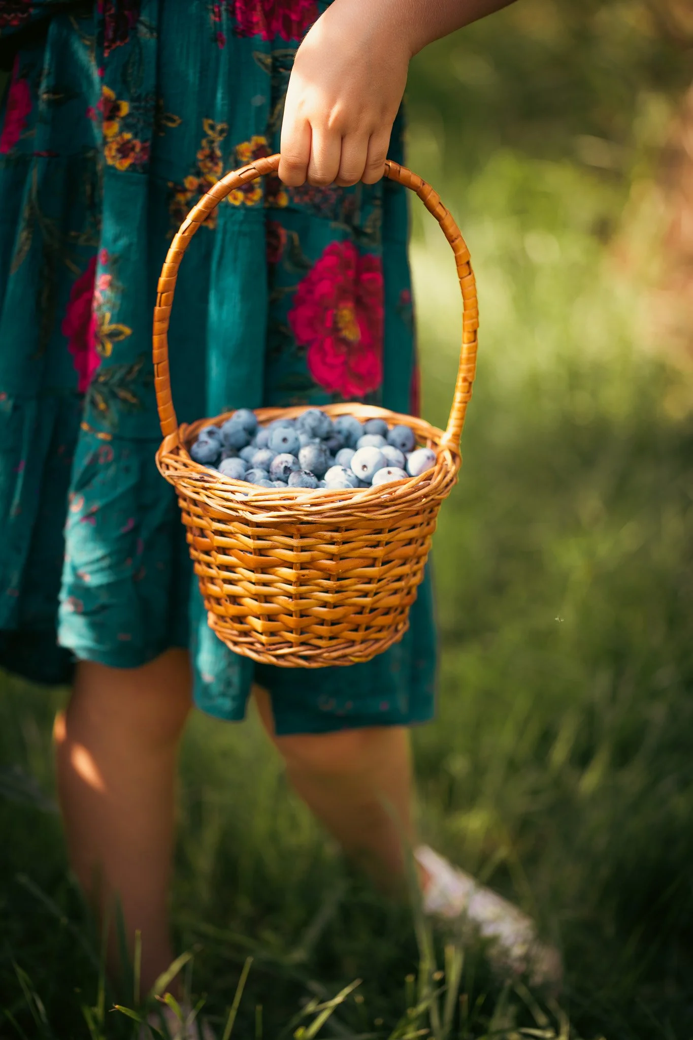 A girl in a floral dress holding a basket of blueberries outdoors in a grassy area.