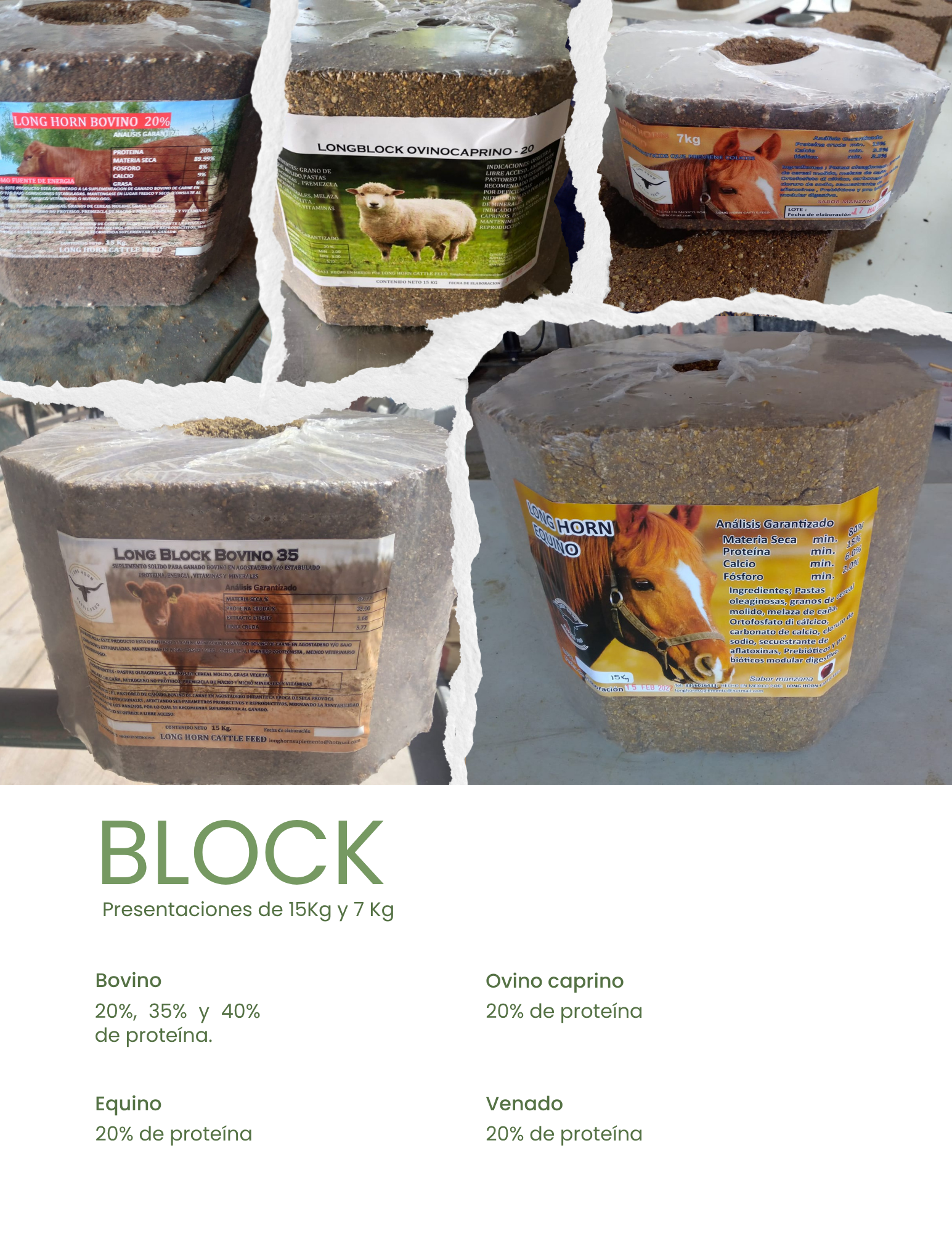 BLOCK