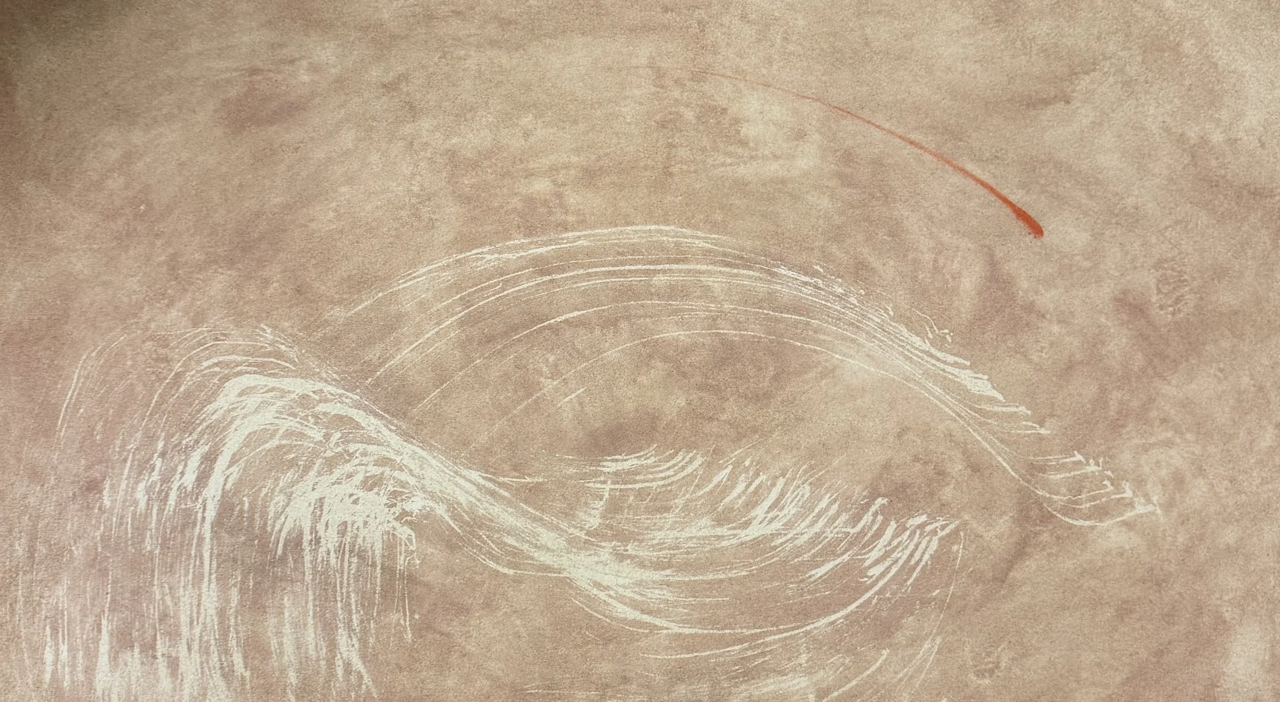 ○ CARNIS, 2026 — Huile et acrylique sur toile de coton, 50.8 x 91.4 cm