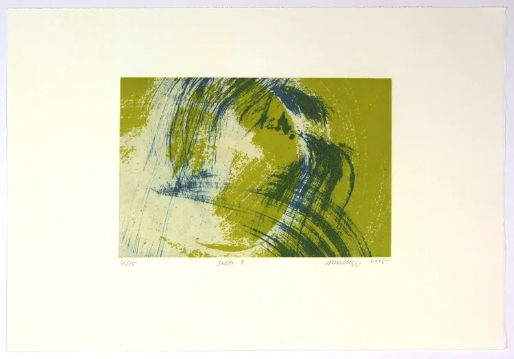 ○  SALTO III — photogravure Chine-collé sur papier Arche. Atelier Piroir, Montréal 2025. 15 exemplaires existants. Dimension oeuvre: 17.5 x 26 cm. Dimension papier: 33 x 47 cm. 