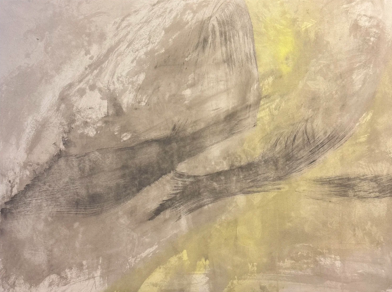 ○ PLEXUS, 2026 — Huile et acrylique sur toile de coton, 91.4  x 121.9 cm