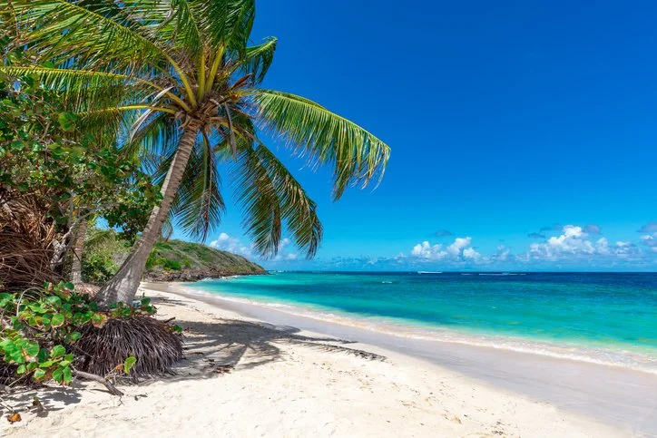 Tropical beach with white sand, palm trees, and clear turquoise water under a blue sky.
