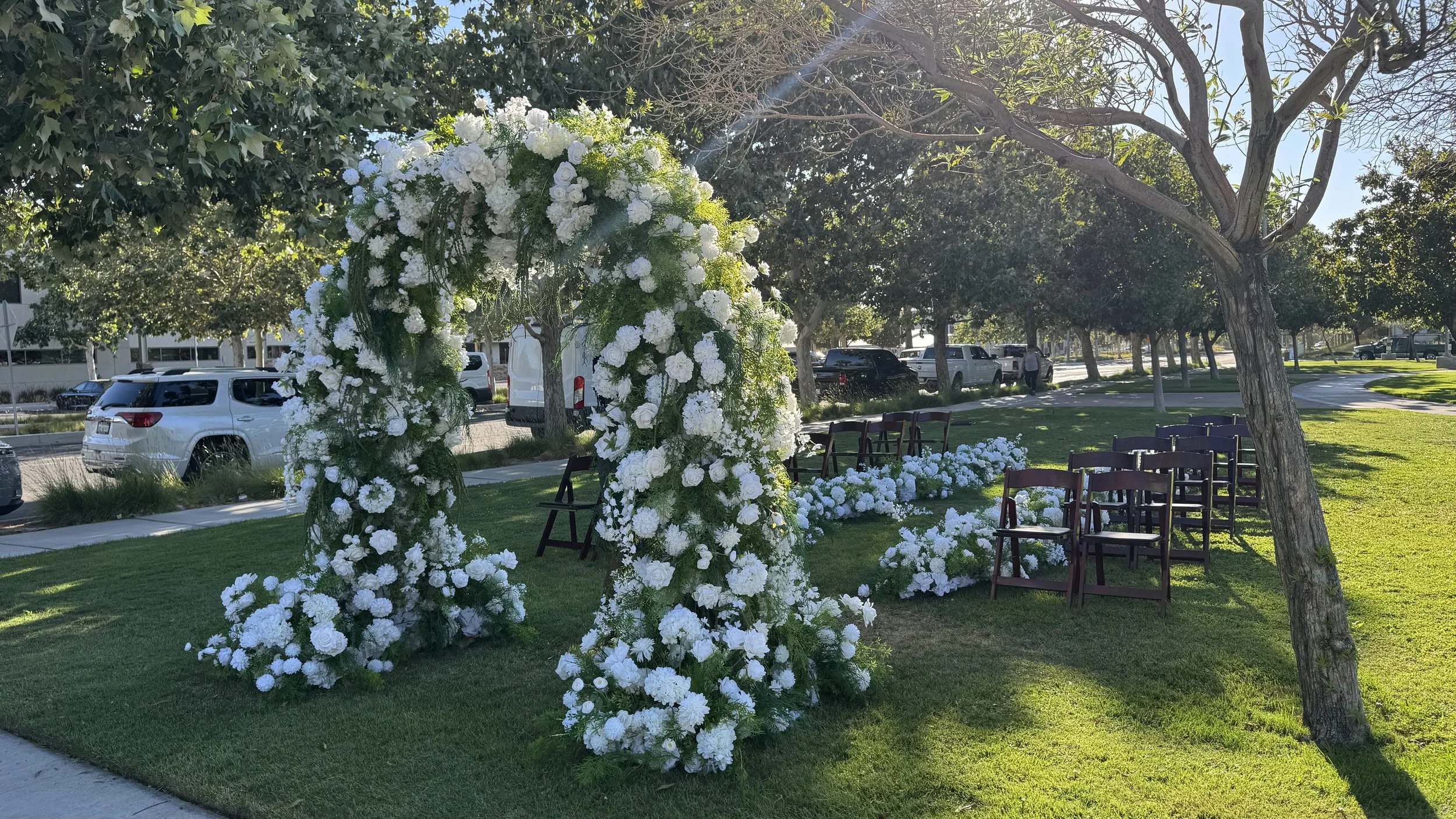 The Willow Arch Collection