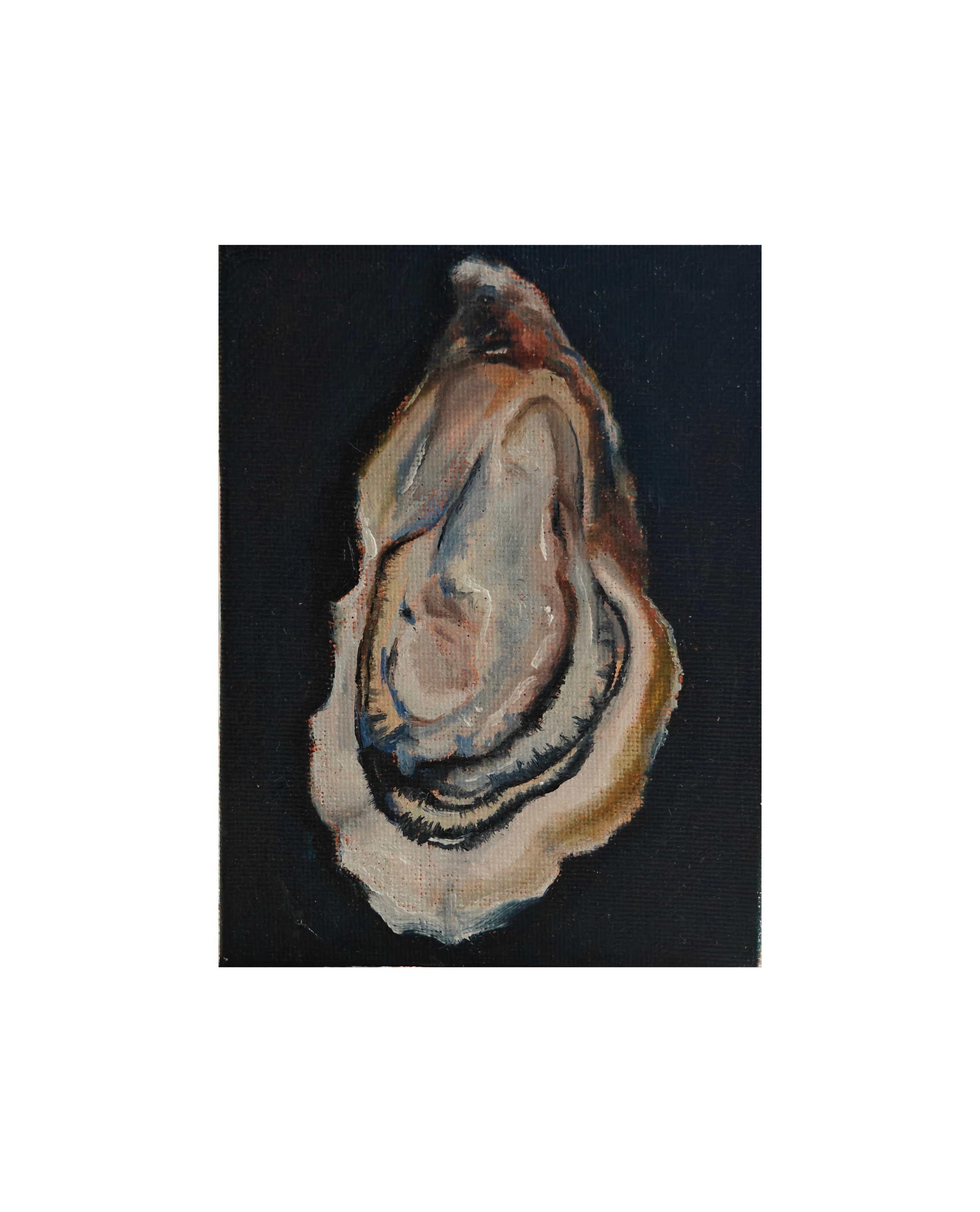 looging_for_shells_50x40_oil.psd (4).png