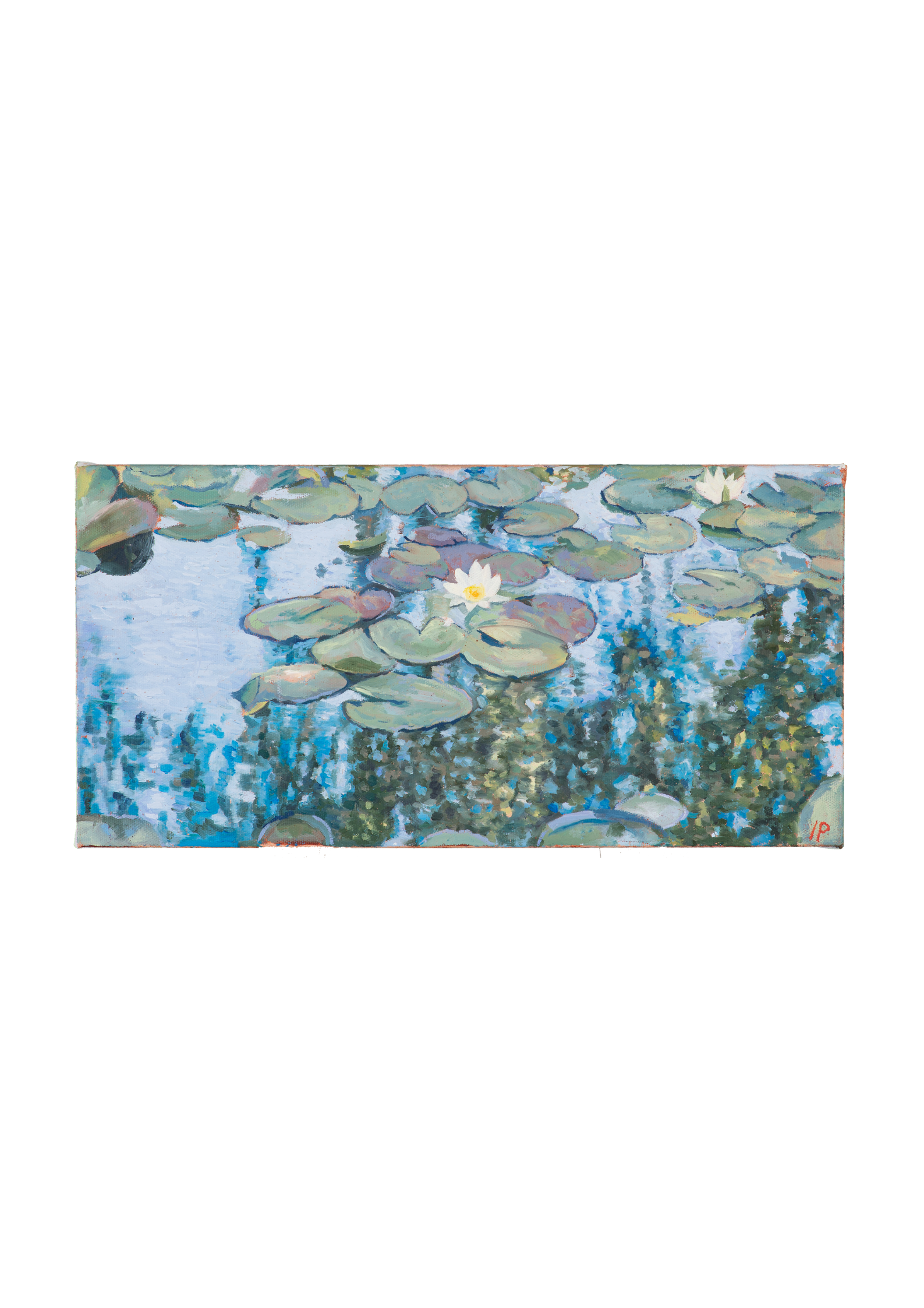 lily pond