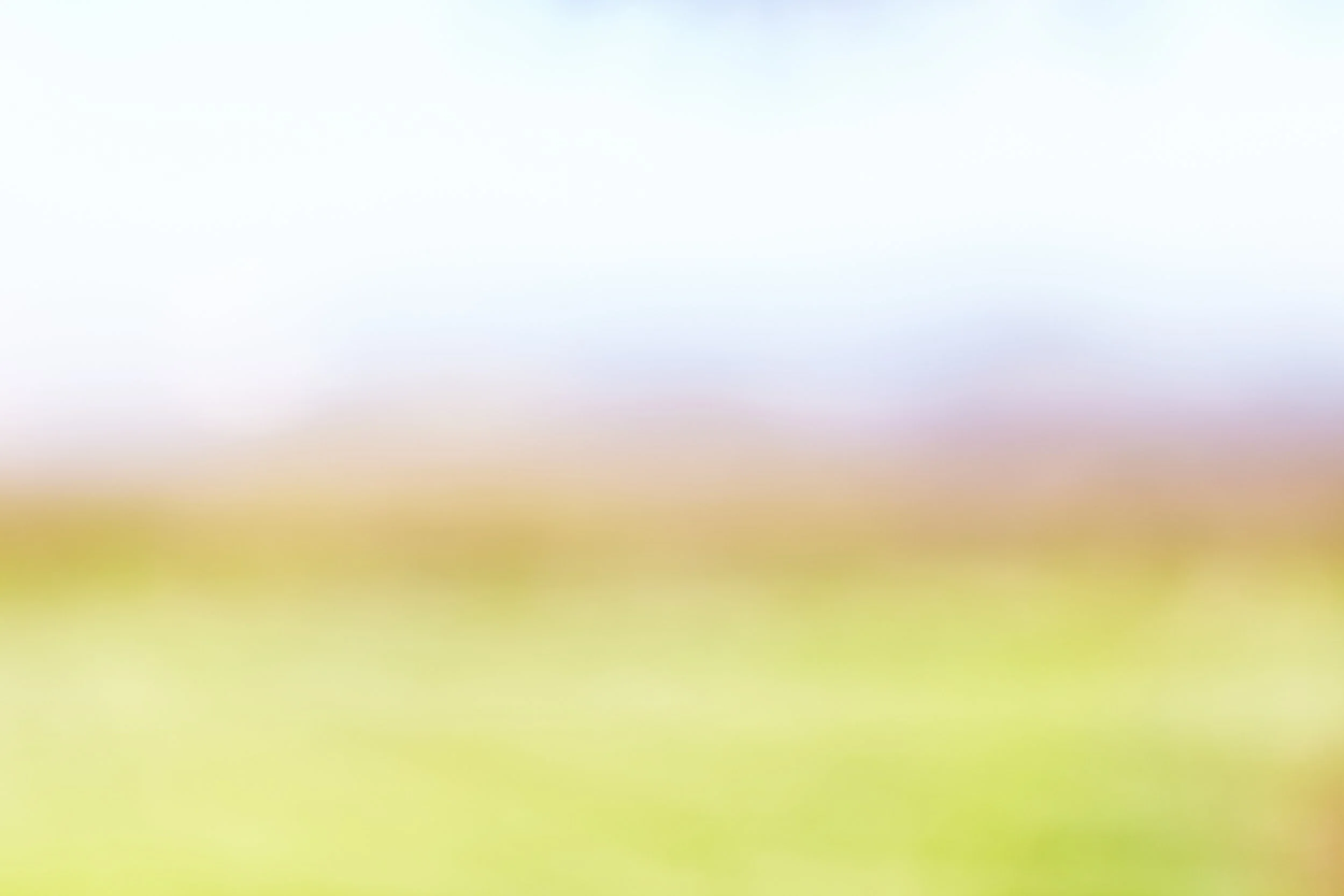Blurred gradient background with soft transitions of light blue, pink, yellow, and green colors.