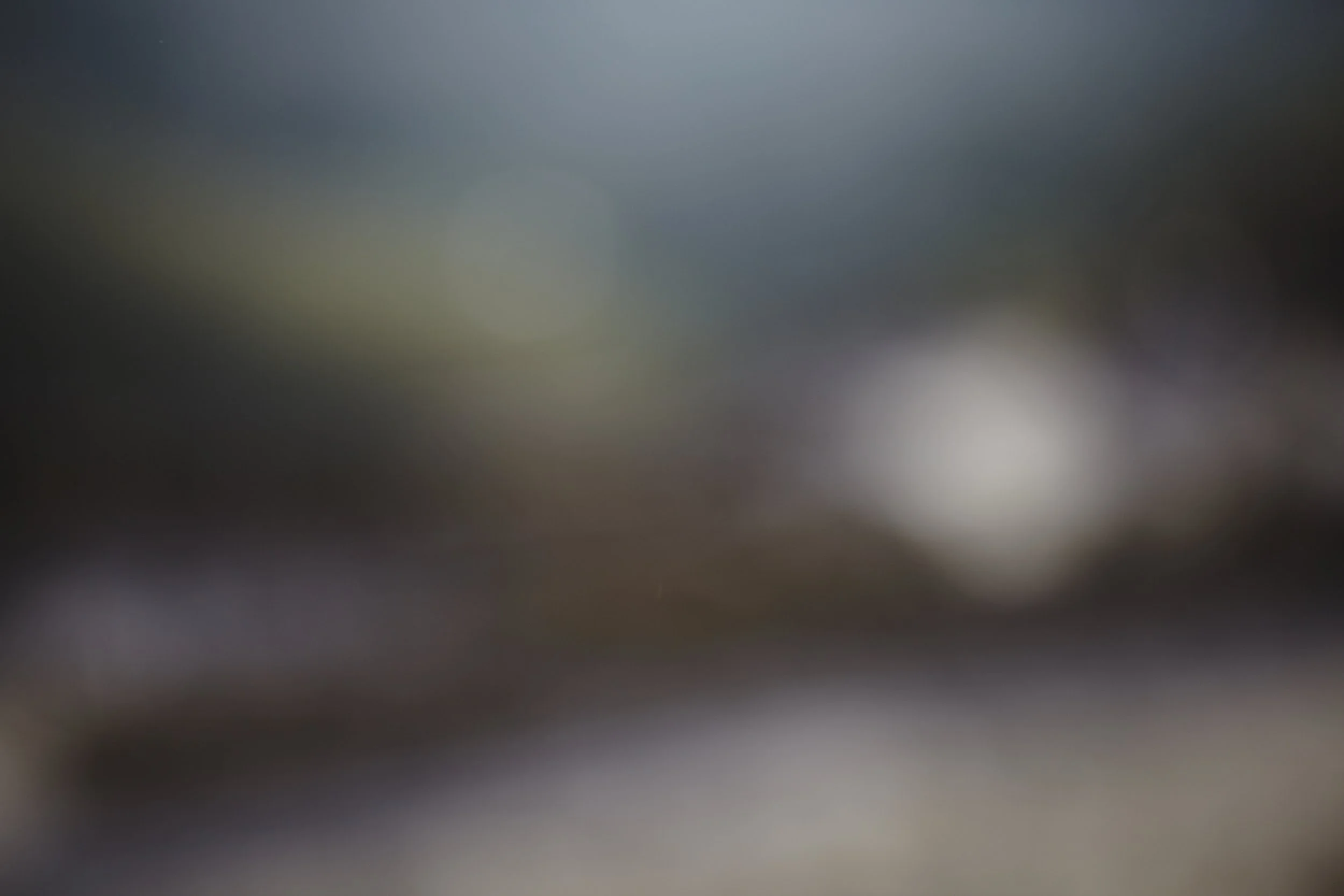 This image is very blurry and out of focus, making it difficult to discern any specific objects or details.