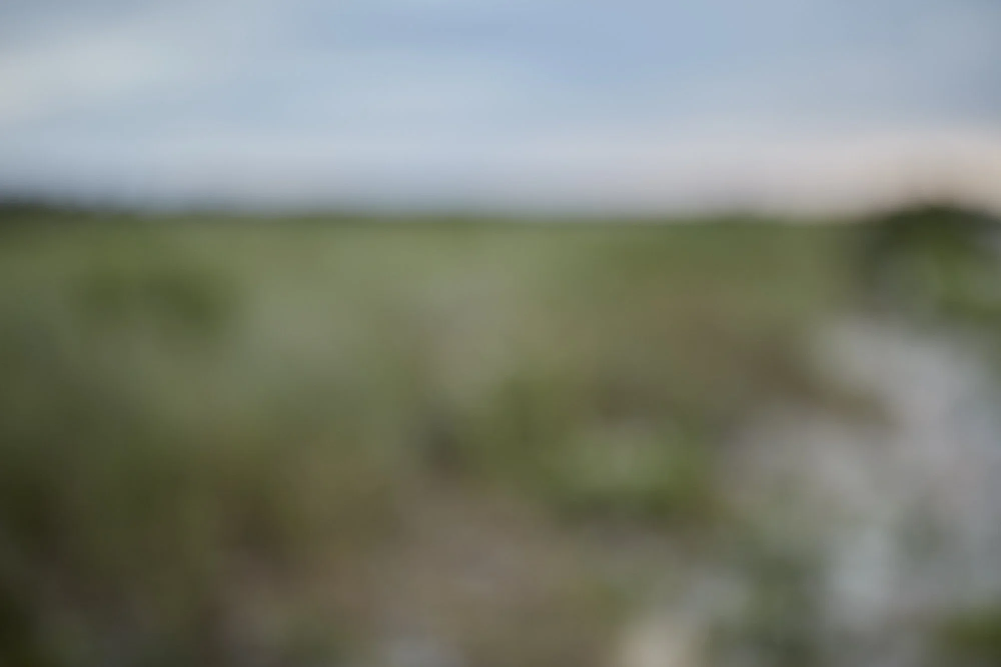 Blurred landscape with a blue sky and green terrain.