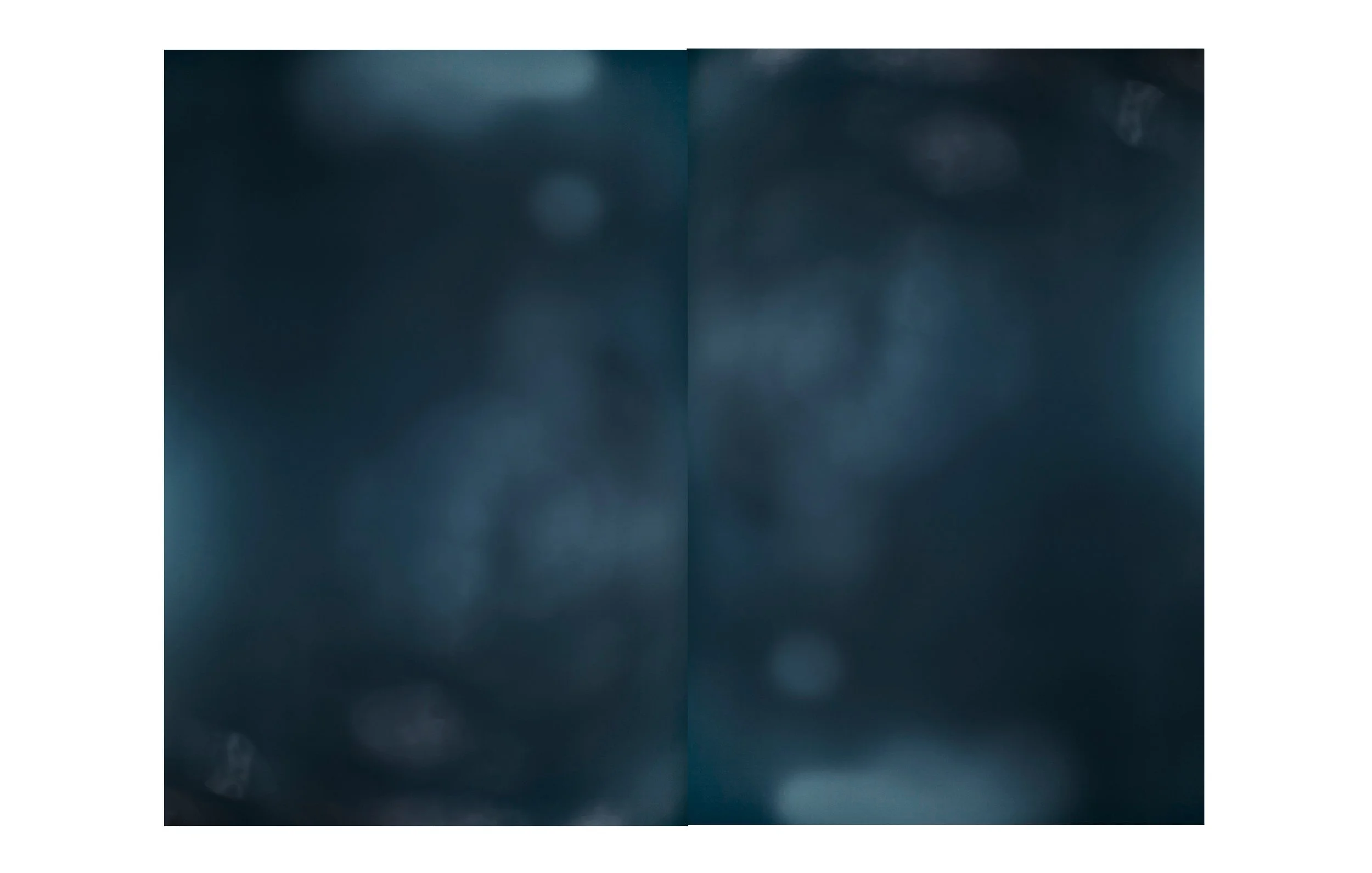 Blurred dark blue background with indistinct shapes and light spots.