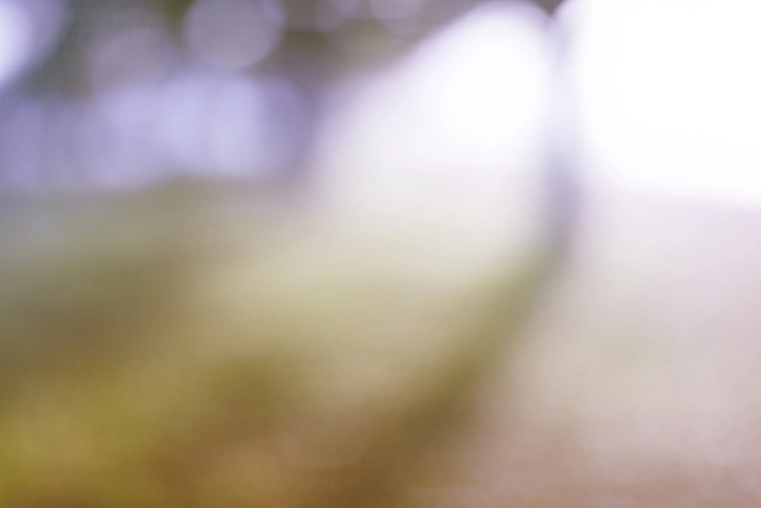 Very blurry abstract image with shades of purple, gray, white, and beige, no discernible objects or details.