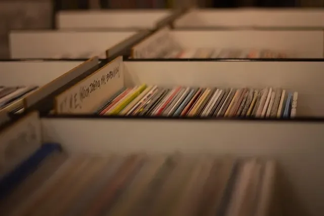 Rows of vinyl records stored in a shelving unit.