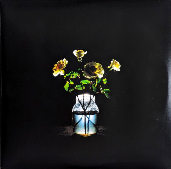 Billy Strings - Renewal.jpg