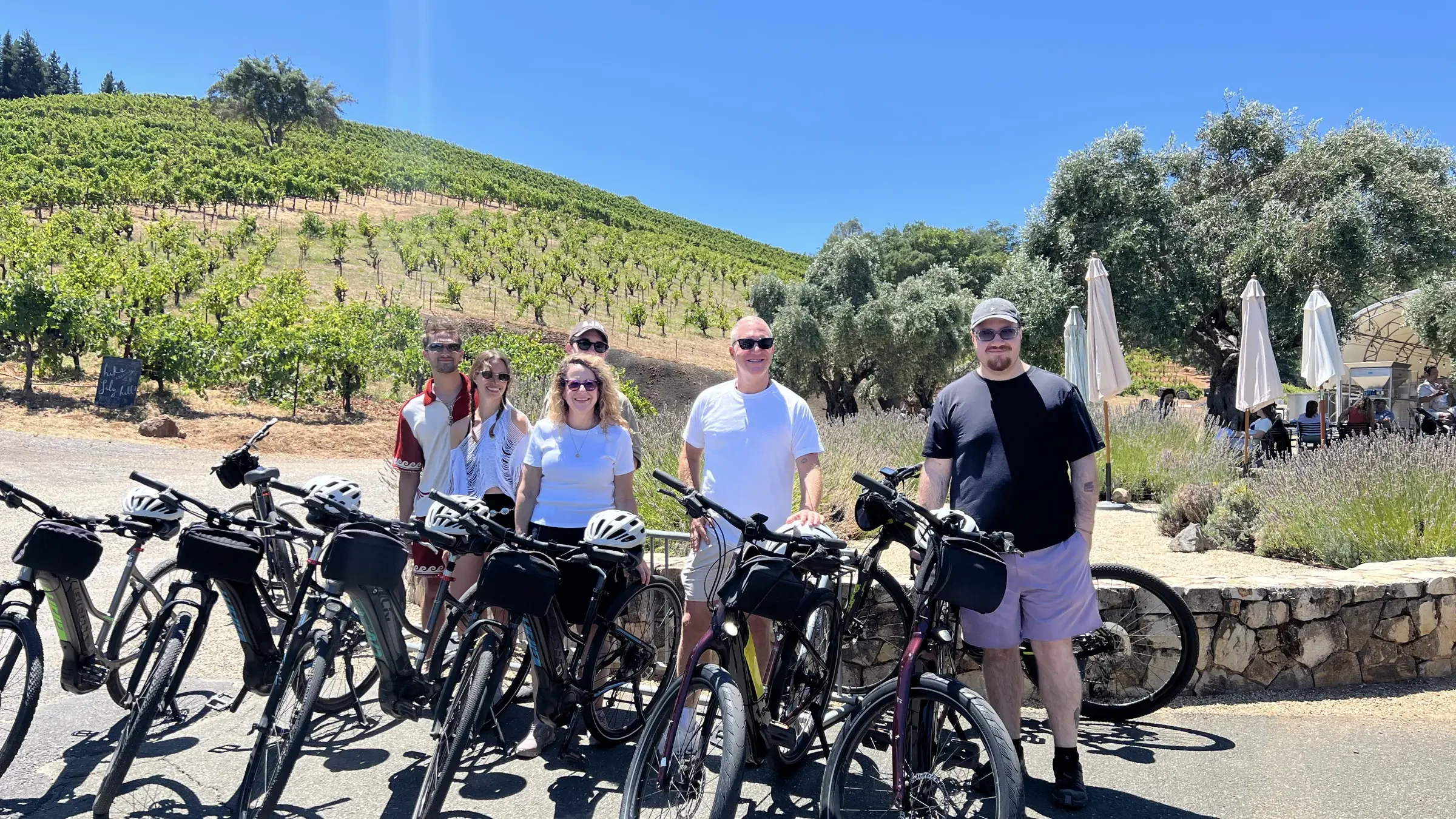 Group of five people with bicycles standing in front of vineyard and olive trees on a sunny day with a clear blue sky.
