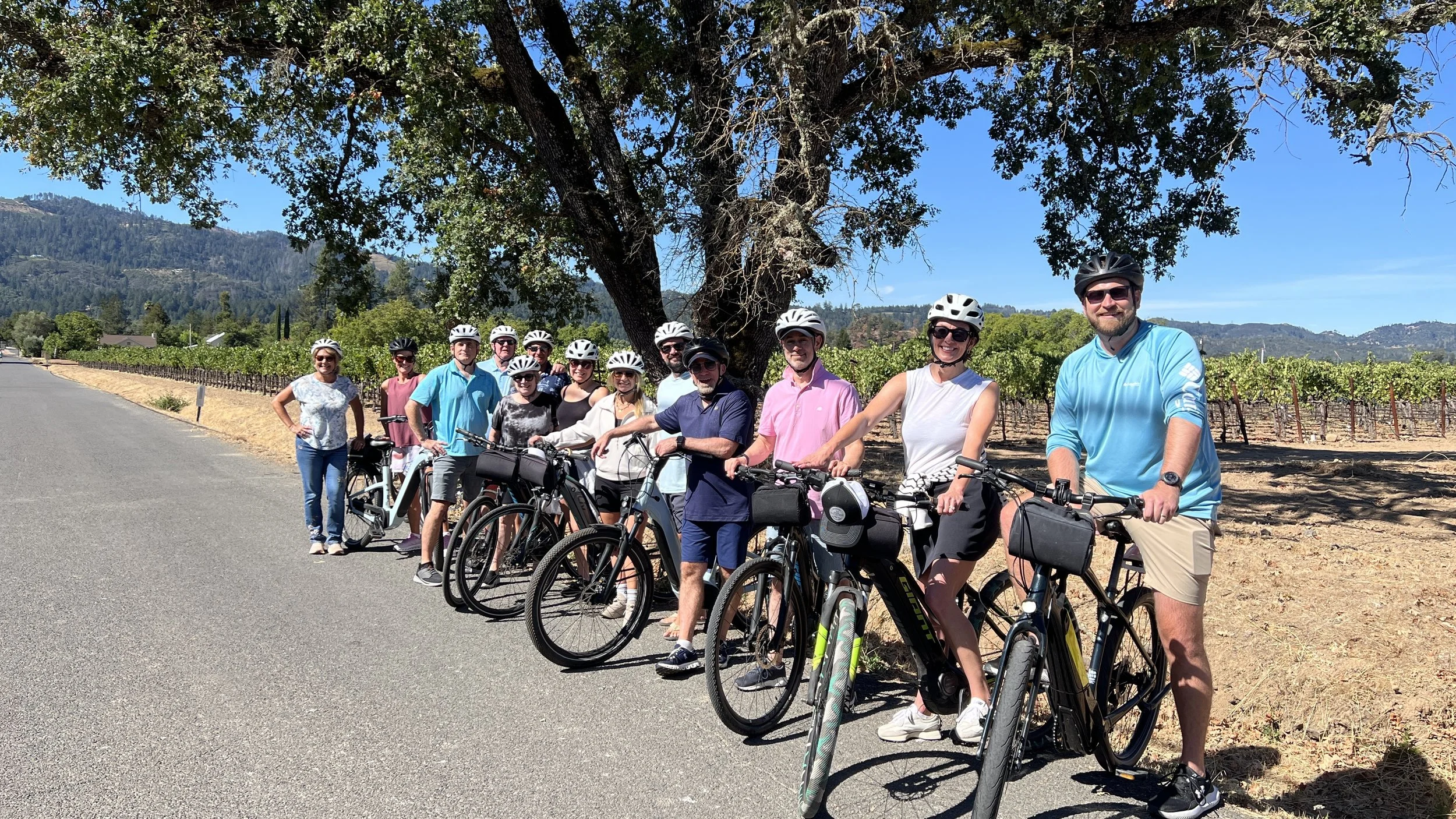 A group of people in cycling gear and helmets stand with their bikes under a large tree on a sunny day, with vineyards and hills in the background.
