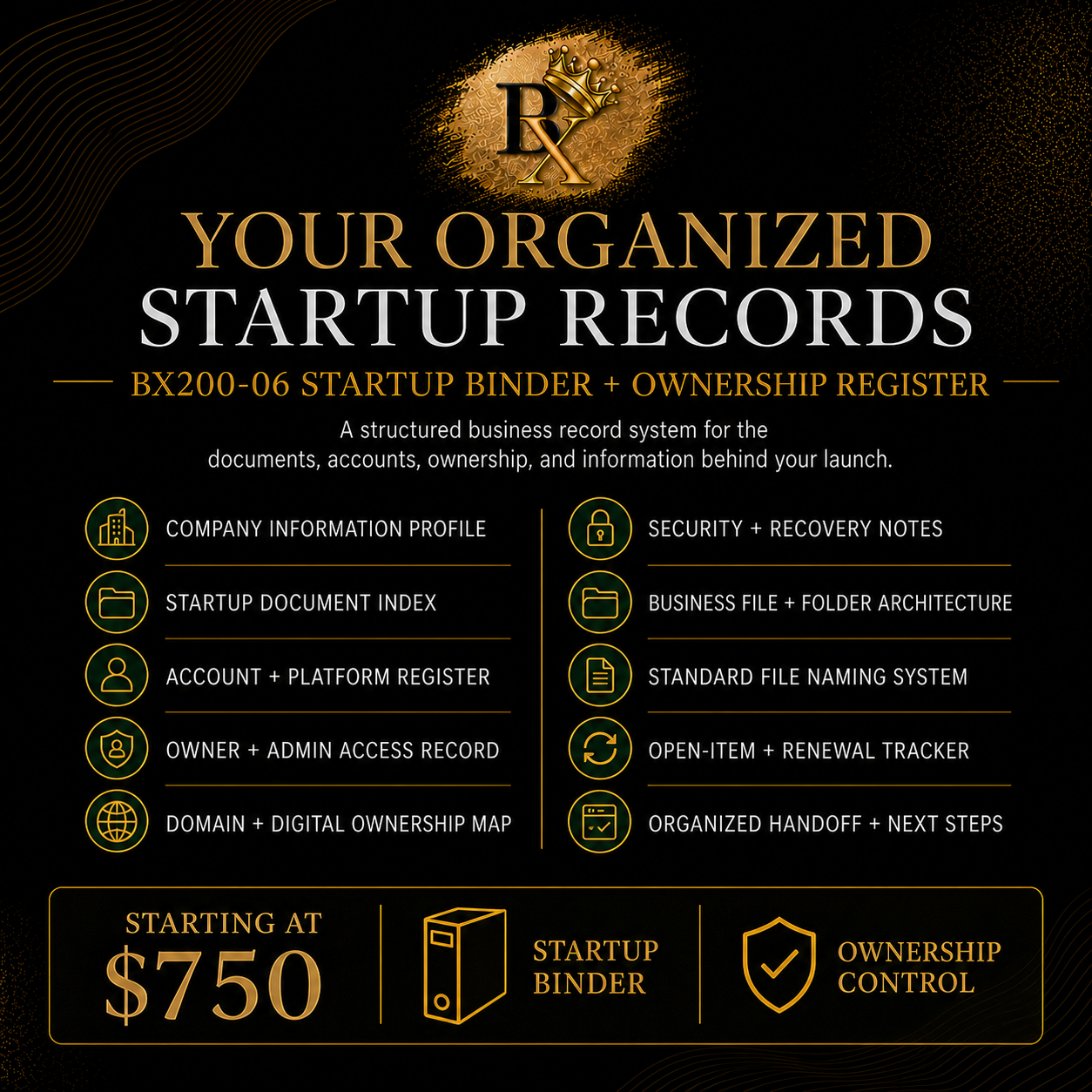 B.X. Marketing Startup Binder and Ownership Register service featuring organized company records, account ownership documentation, startup documents, and a business file system.
