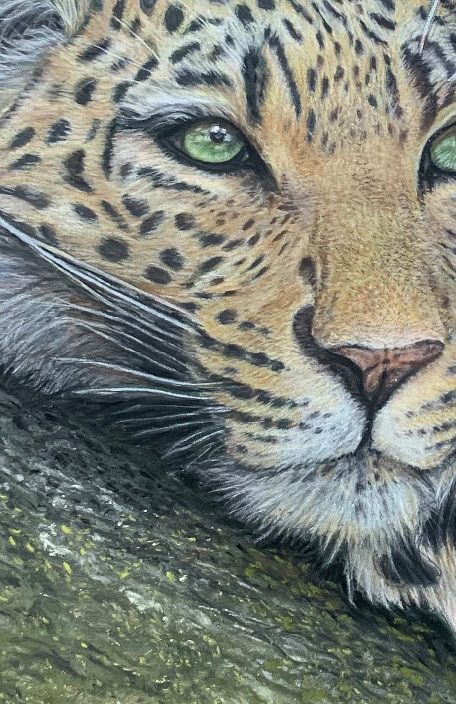 rm close up.jpg