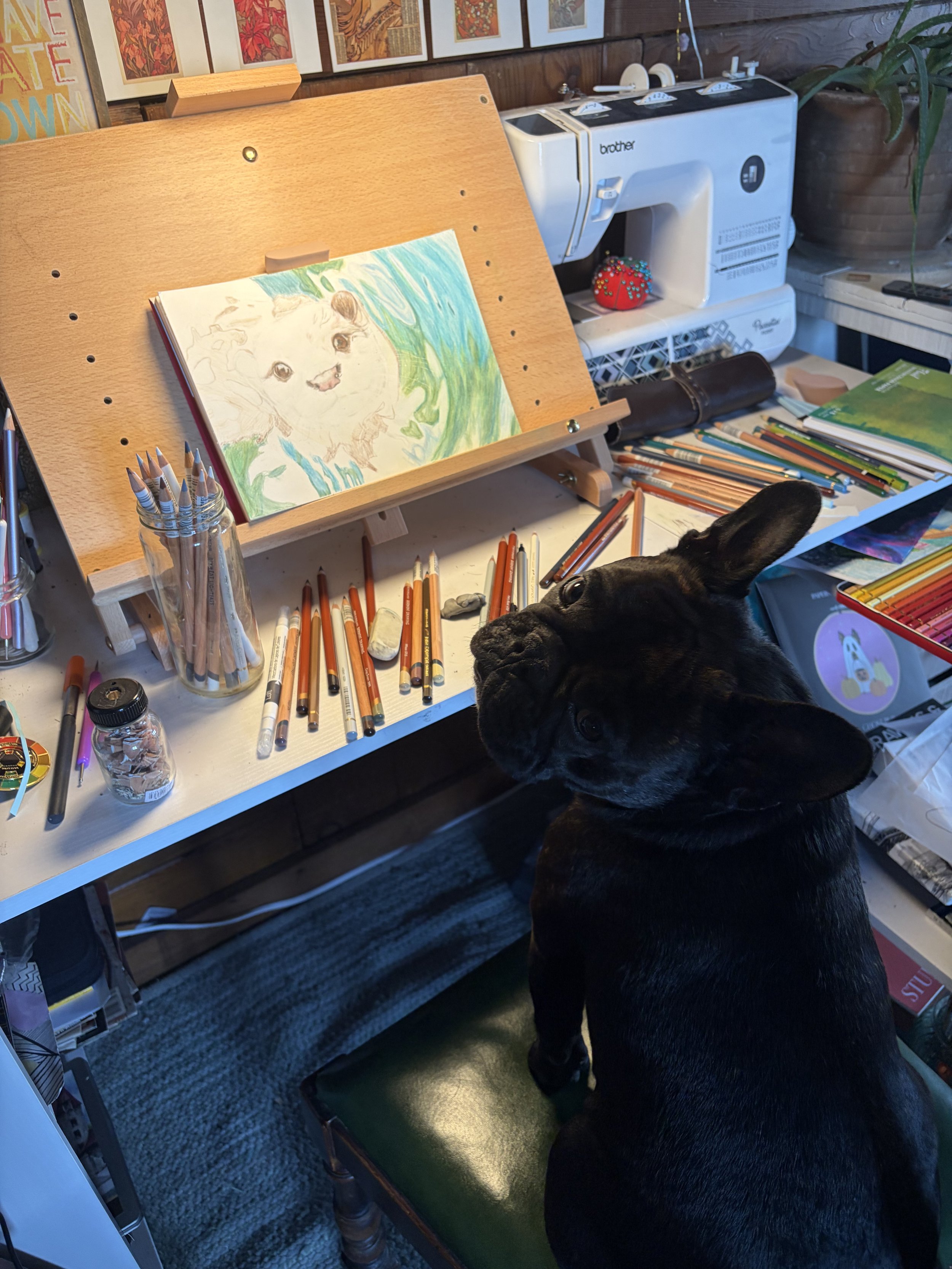 French bulldog posing at a desk in front of a colored pencil drawing
