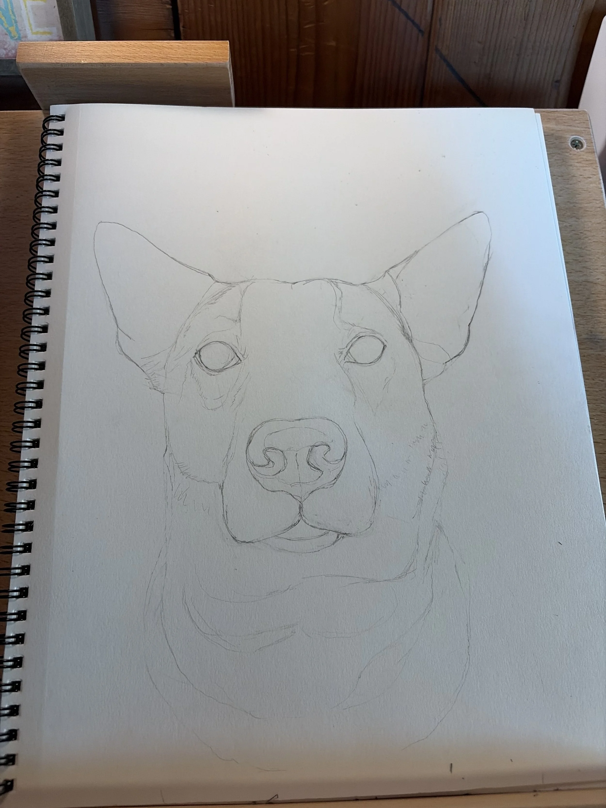 Pencil sketch of a dog's face on a sketchbook page