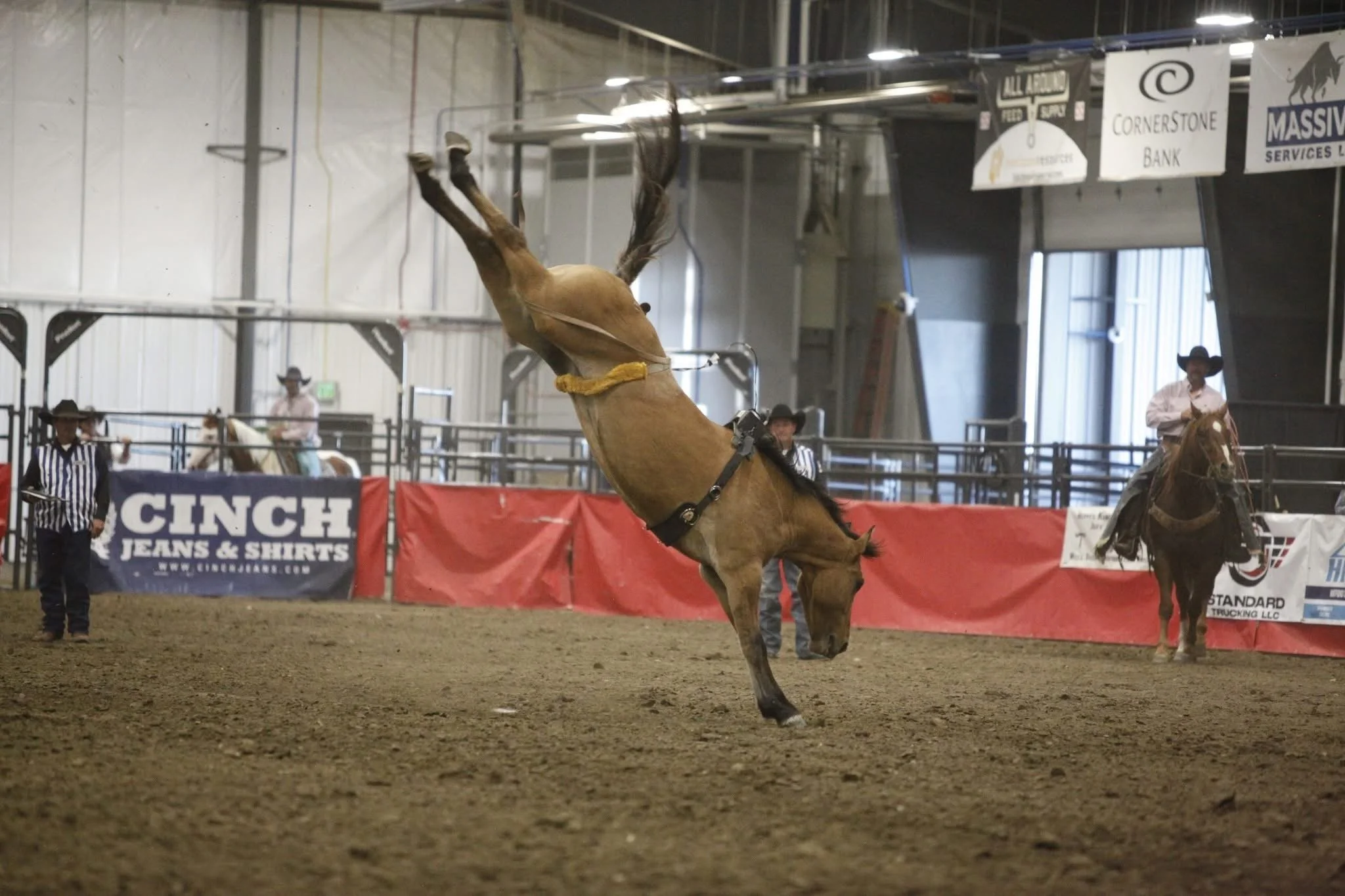 A bucking bronco horse rider in an indoor arena during a rodeo event, with officials and banners in the background.