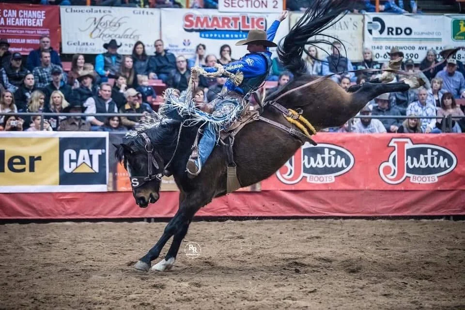 A cowboy riding a bucking horse at a rodeo event with spectators in the background.