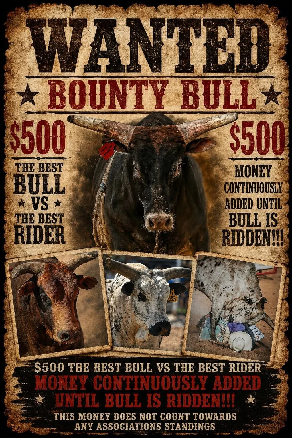 Wanted sign for a Bounty Bull with a reward of 500 dollars. The sign features a large, black bull with prominent horns, and smaller images of a brown calf, a white spotted calf, and a cow. Text emphasizes the competition between the best bull and the best rider, with a note that the money increases until the bull is ridden, but does not count towards any standings.