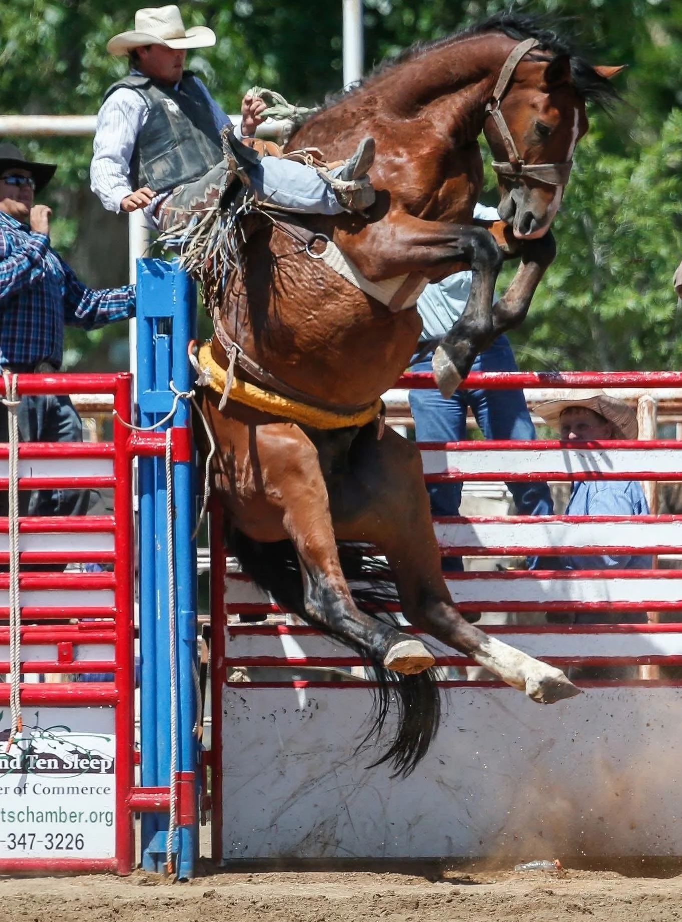 A cowboy riding a bucking horse in a rodeo arena, with red and white railings and people watching in the background.