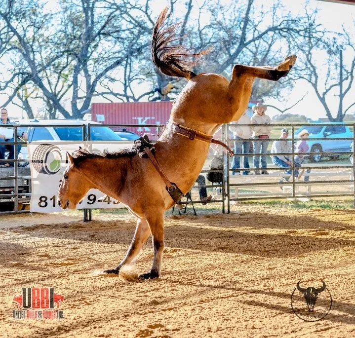 A horse rearing up on its hind legs in a rodeo arena with a person on its back and an audience in the background.