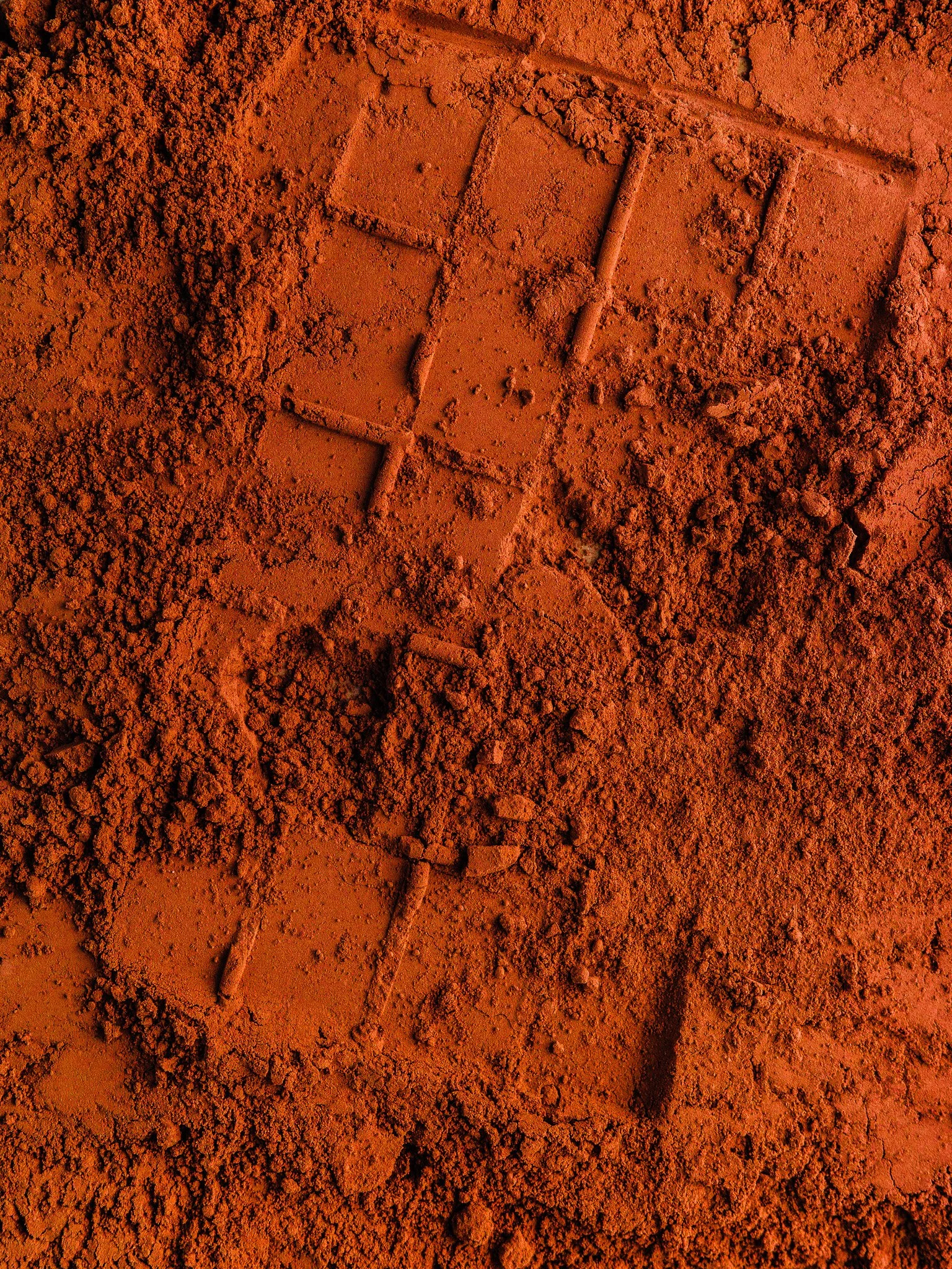 Close-up of orange powdery substance with some small sticks or twigs partially buried in it.