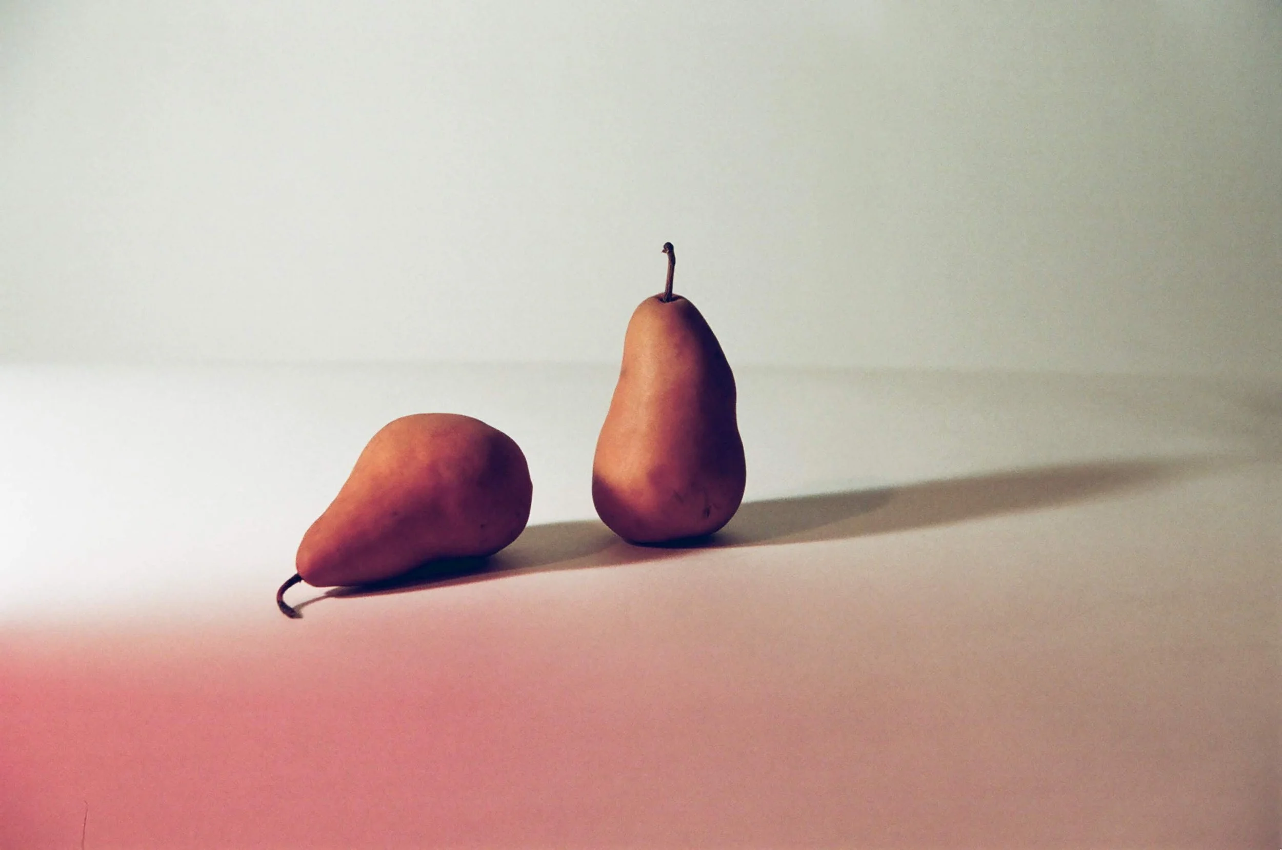 Two bosc pears placed on a white surface with a plain light background. One pear stands upright with a sprout at its tip, and the other lies horizontally.