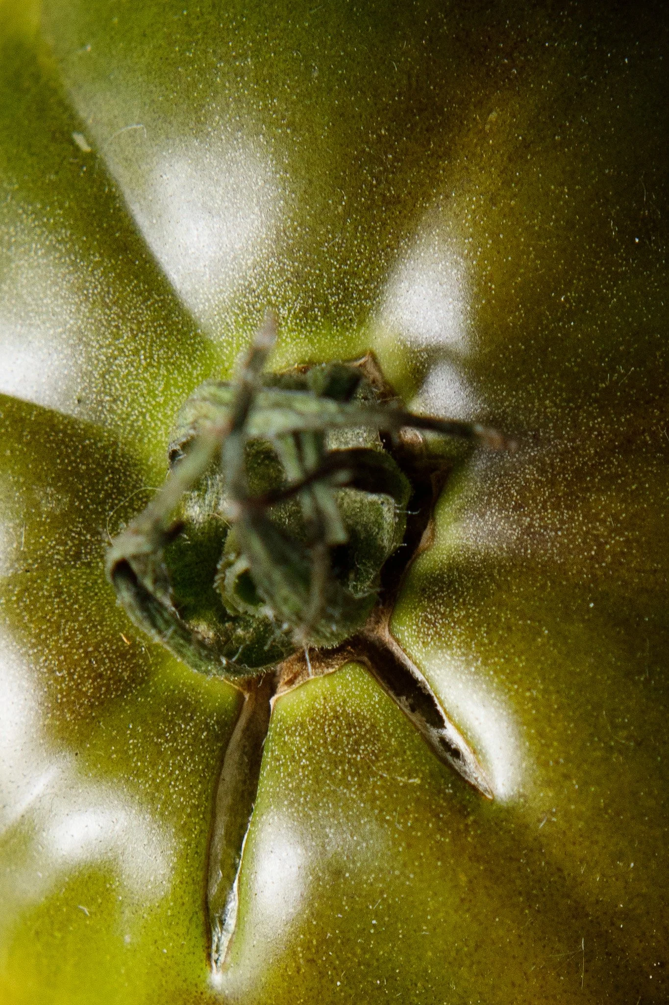 _K3A9660.jpg