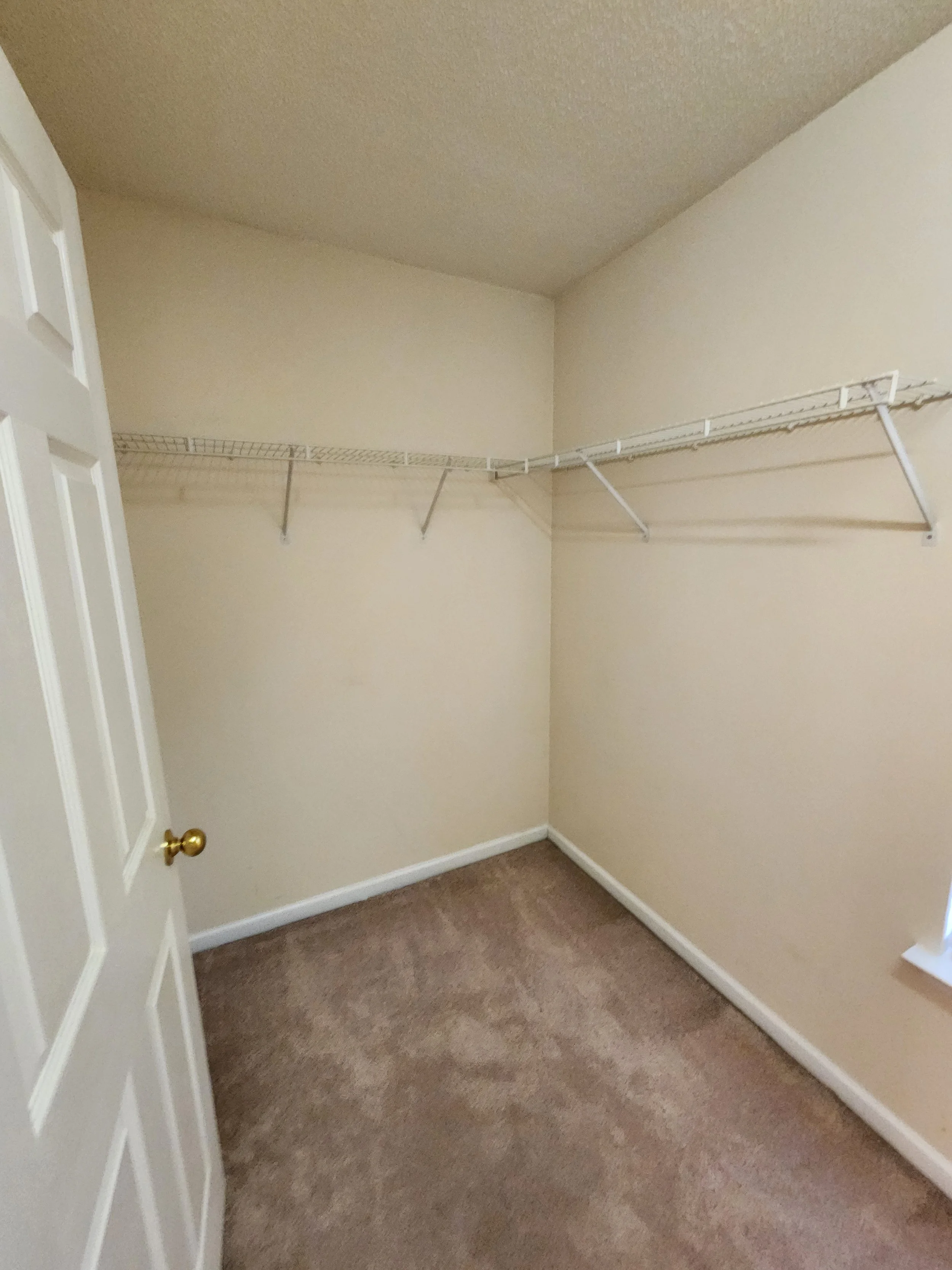 Empty walk-in closet with beige walls, brown carpet, and wire shelf on the right wall.