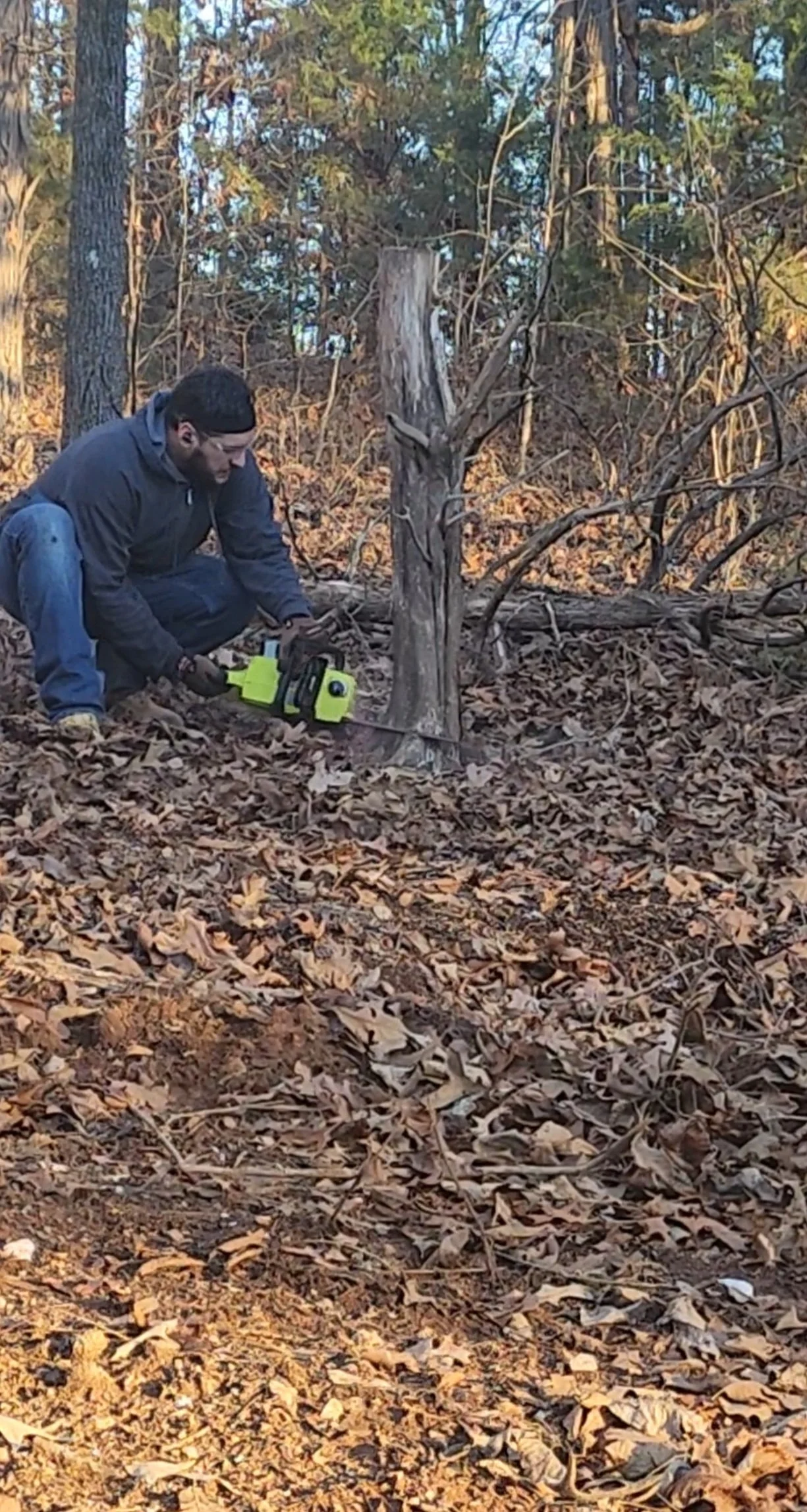 Man kneeling on the ground with a chainsaw cutting a fallen tree.