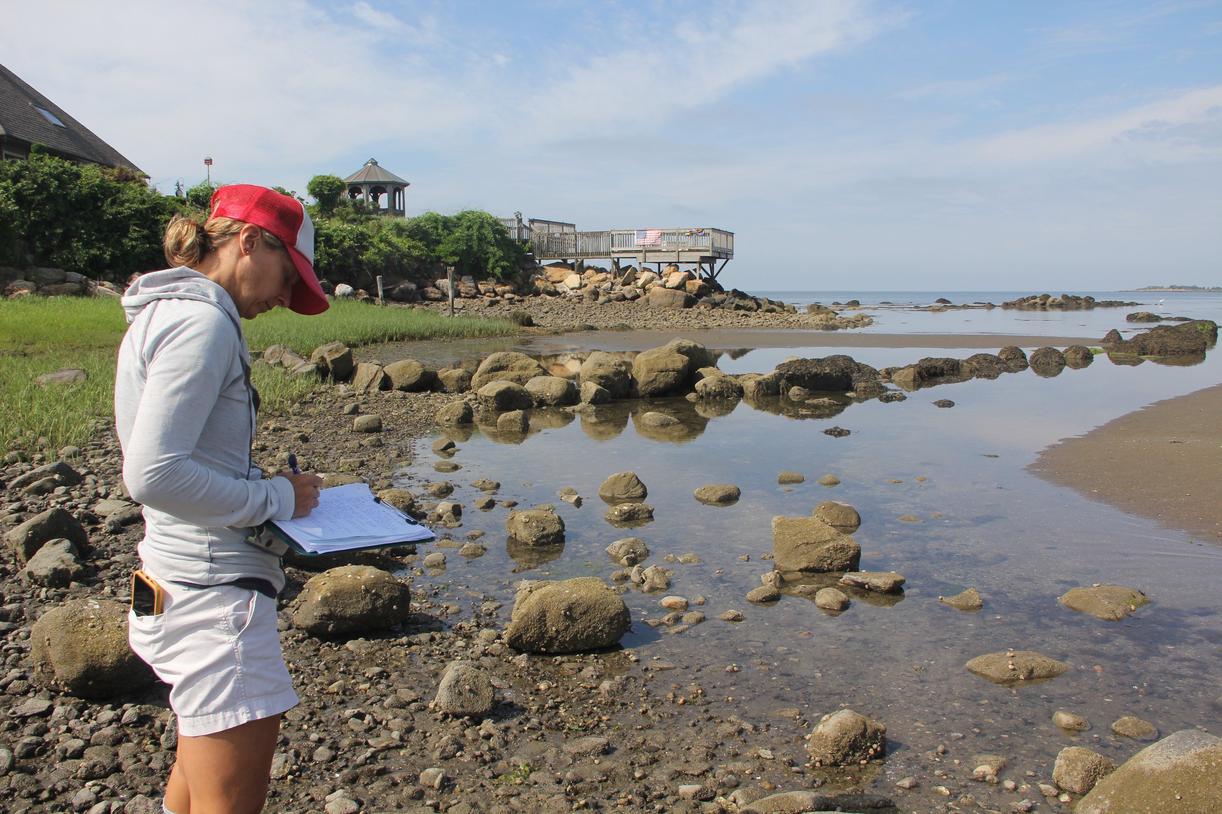 A woman stands beside an oyster reef, a natural conservation structure that protects shorelines from erosion, improves water quality, and provides essential marine life habitats.
