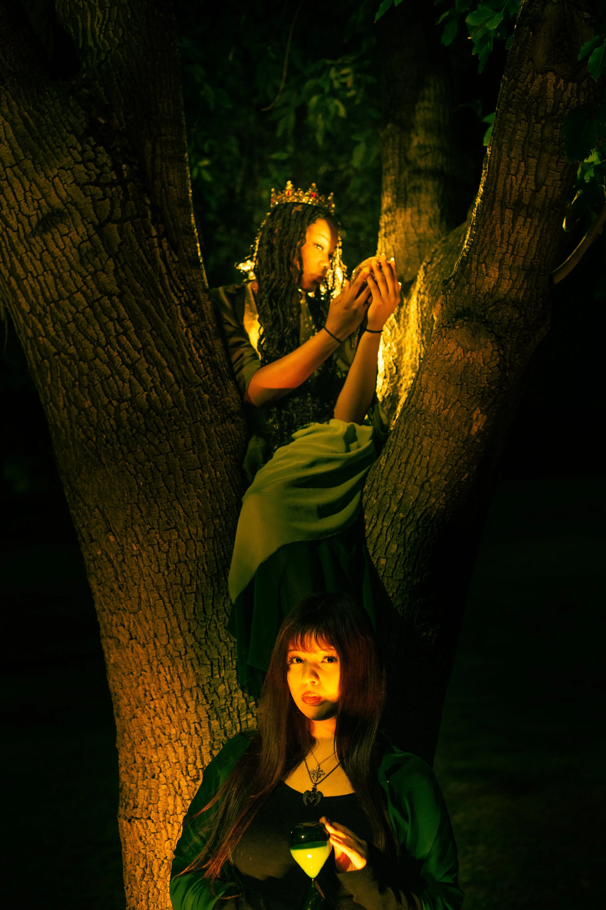 regrowth-5.jpg