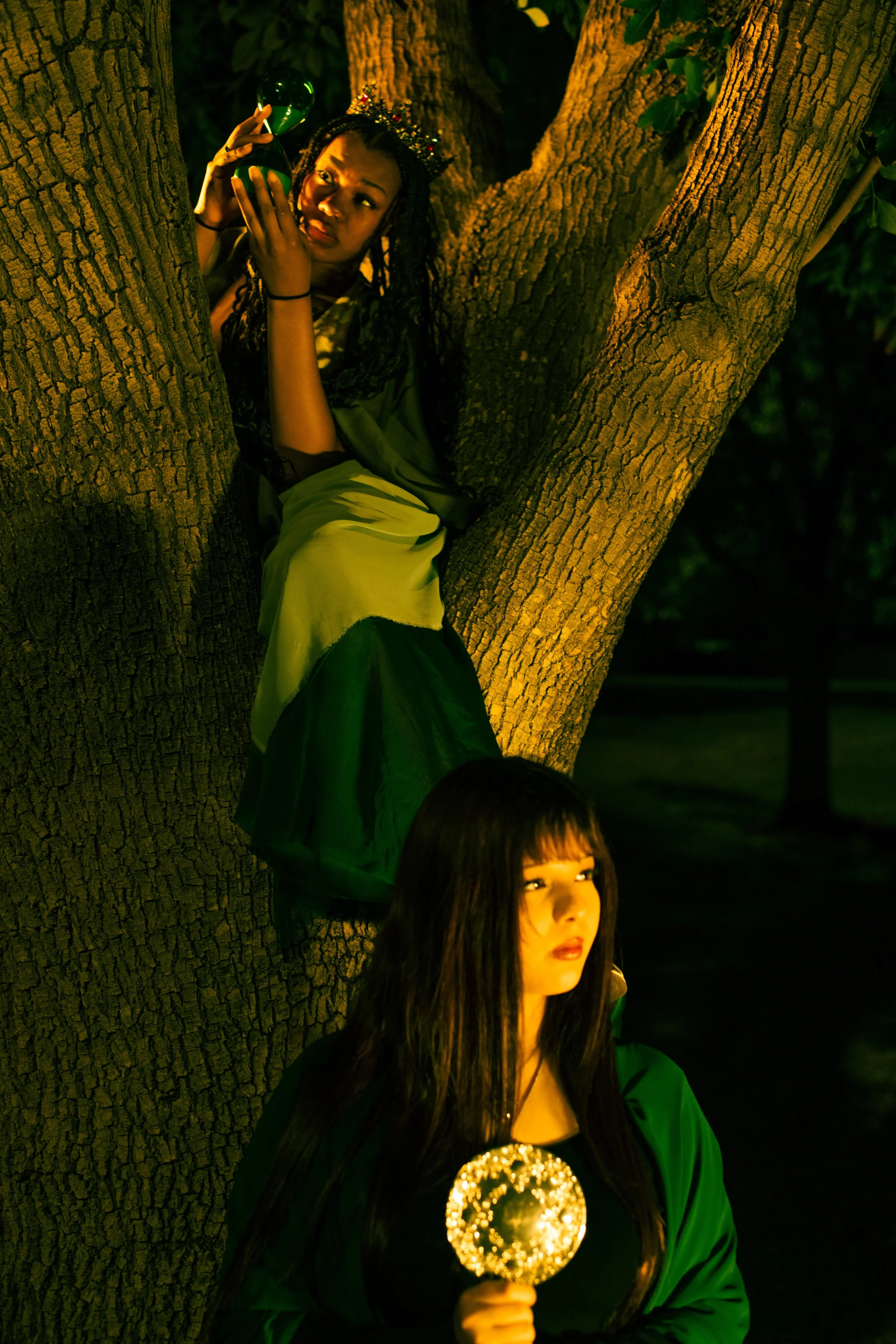 regrowth-2.jpg