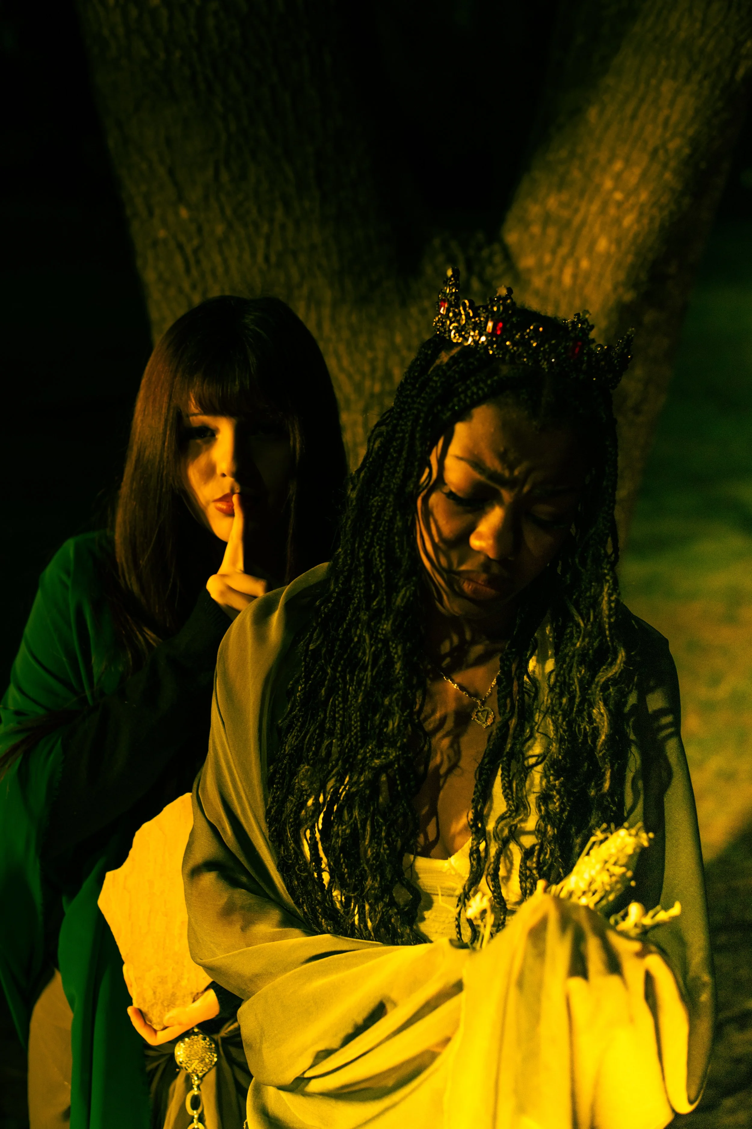 regrowth-7.jpg
