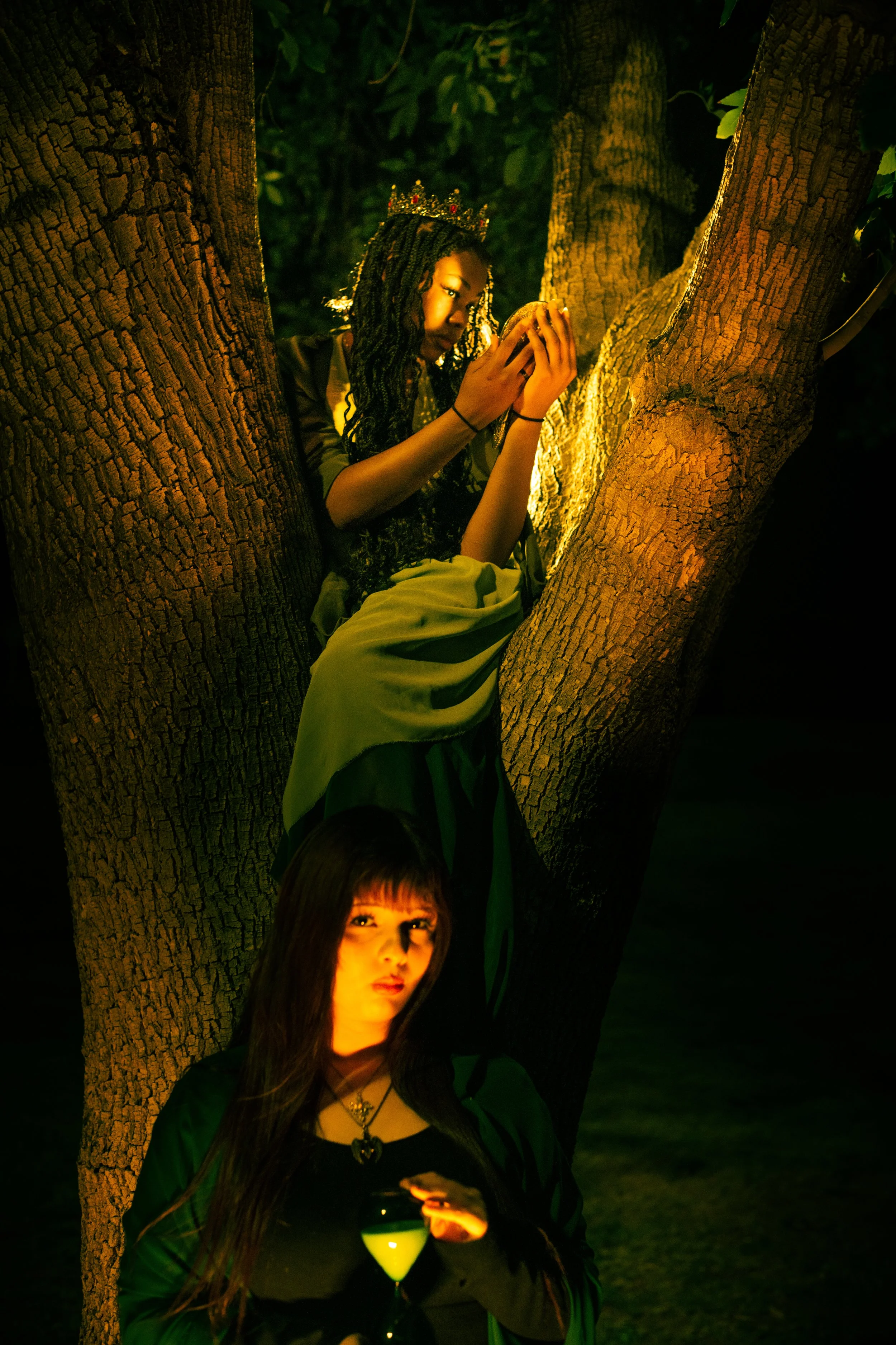 regrowth-4.jpg