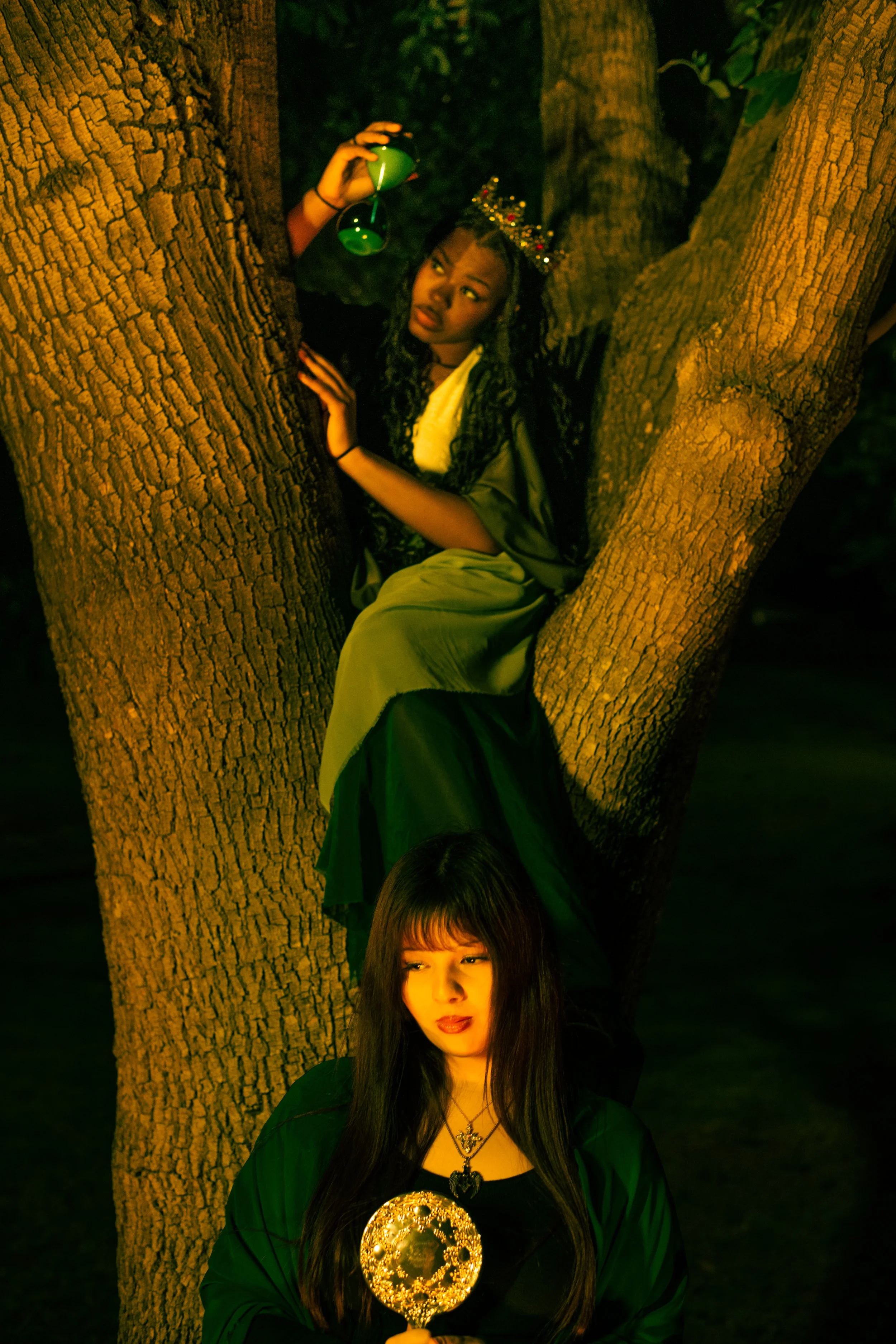 regrowth-3.jpg