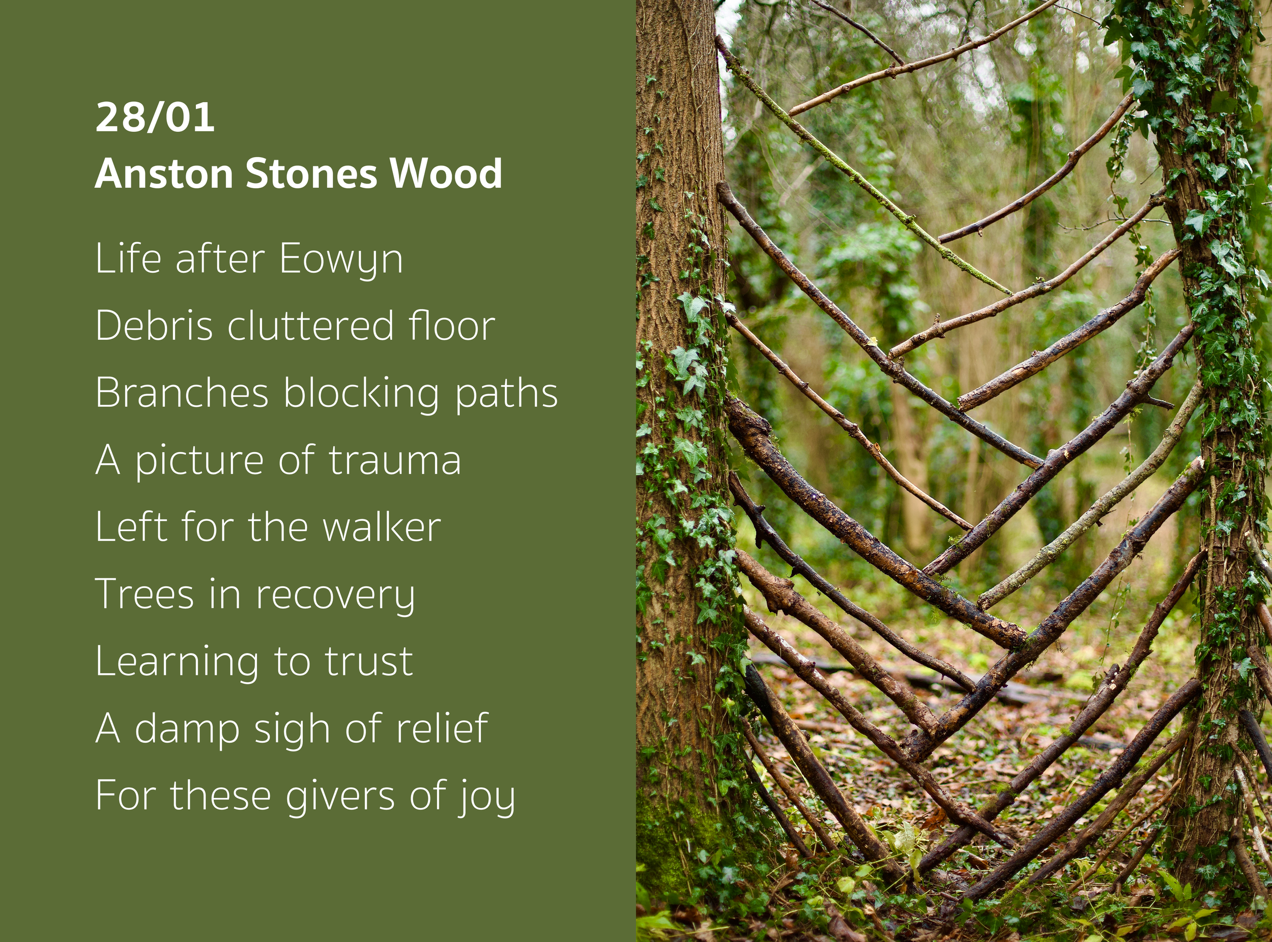 I&W25 28:1 Anston Stones Wood.png