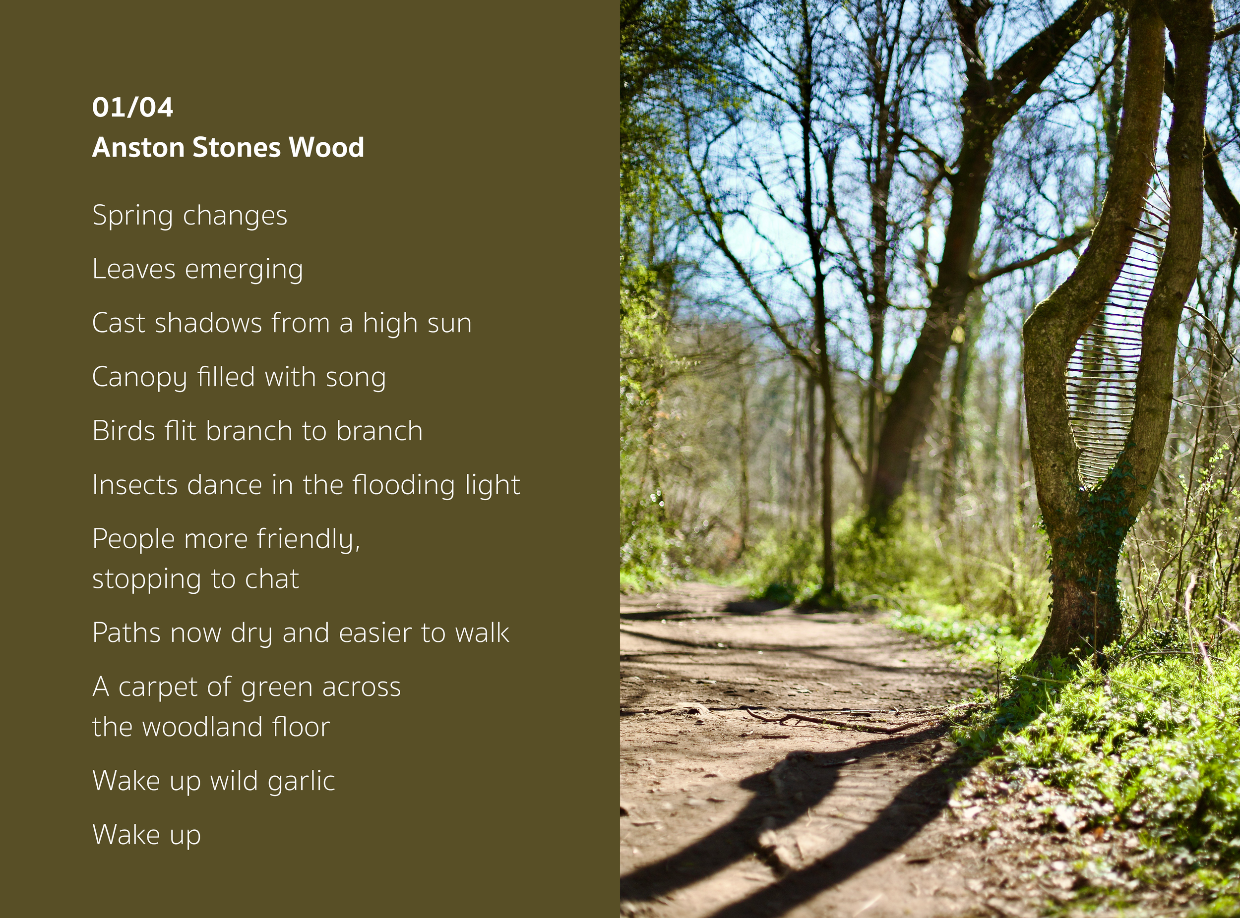 I&W25 01:04 Anston Stones Wood .png