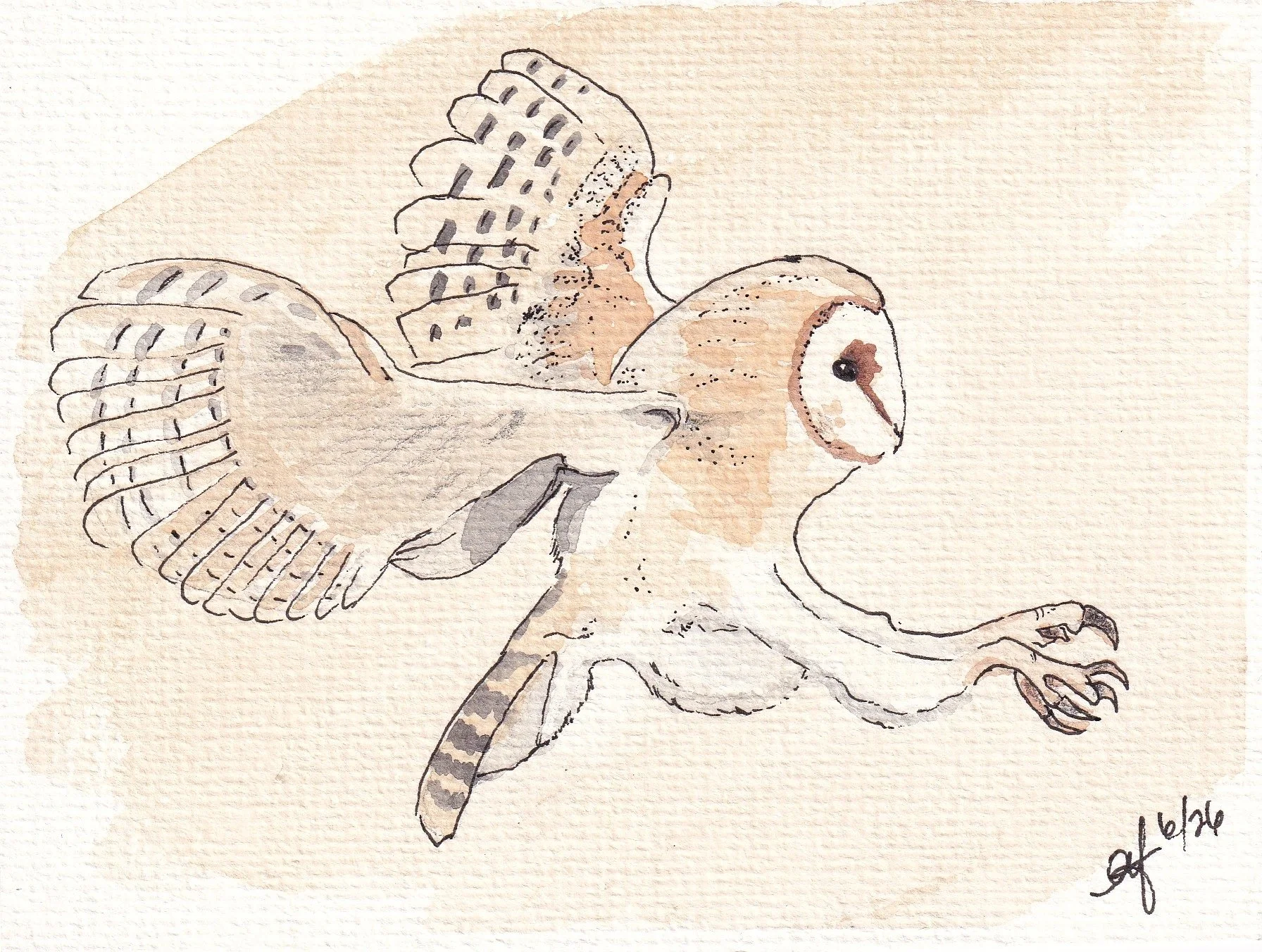 Prey. Watercolor print.