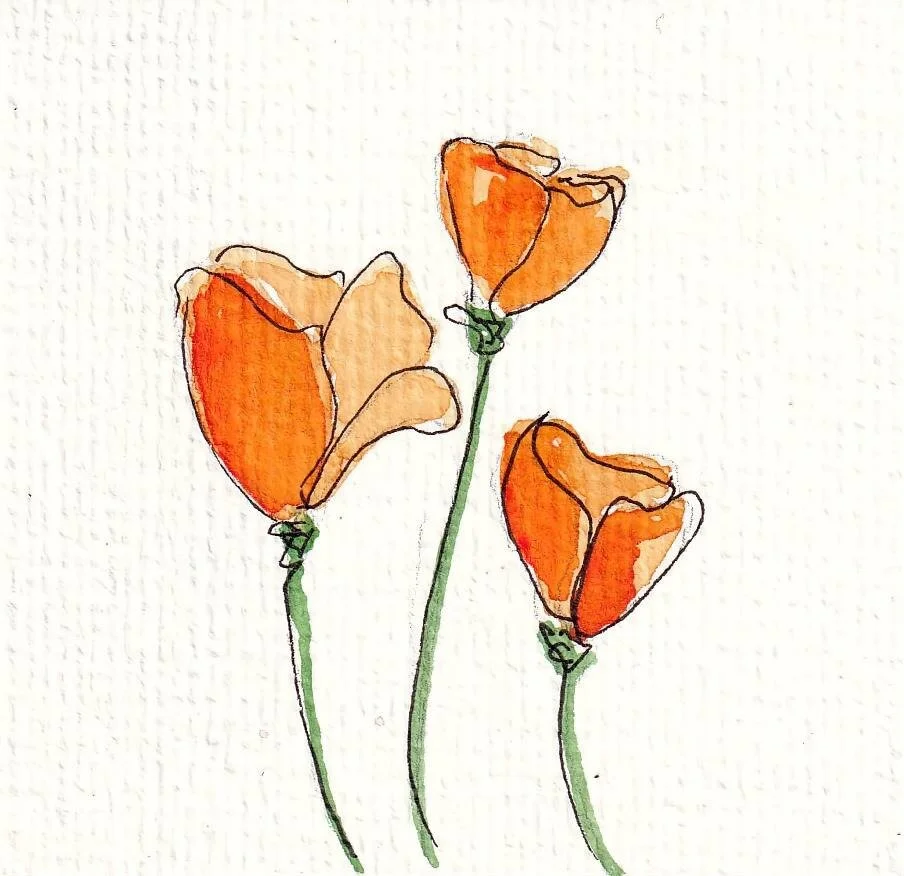 Watercolor sketch of three stylized orange flowers with green stems on a white background.