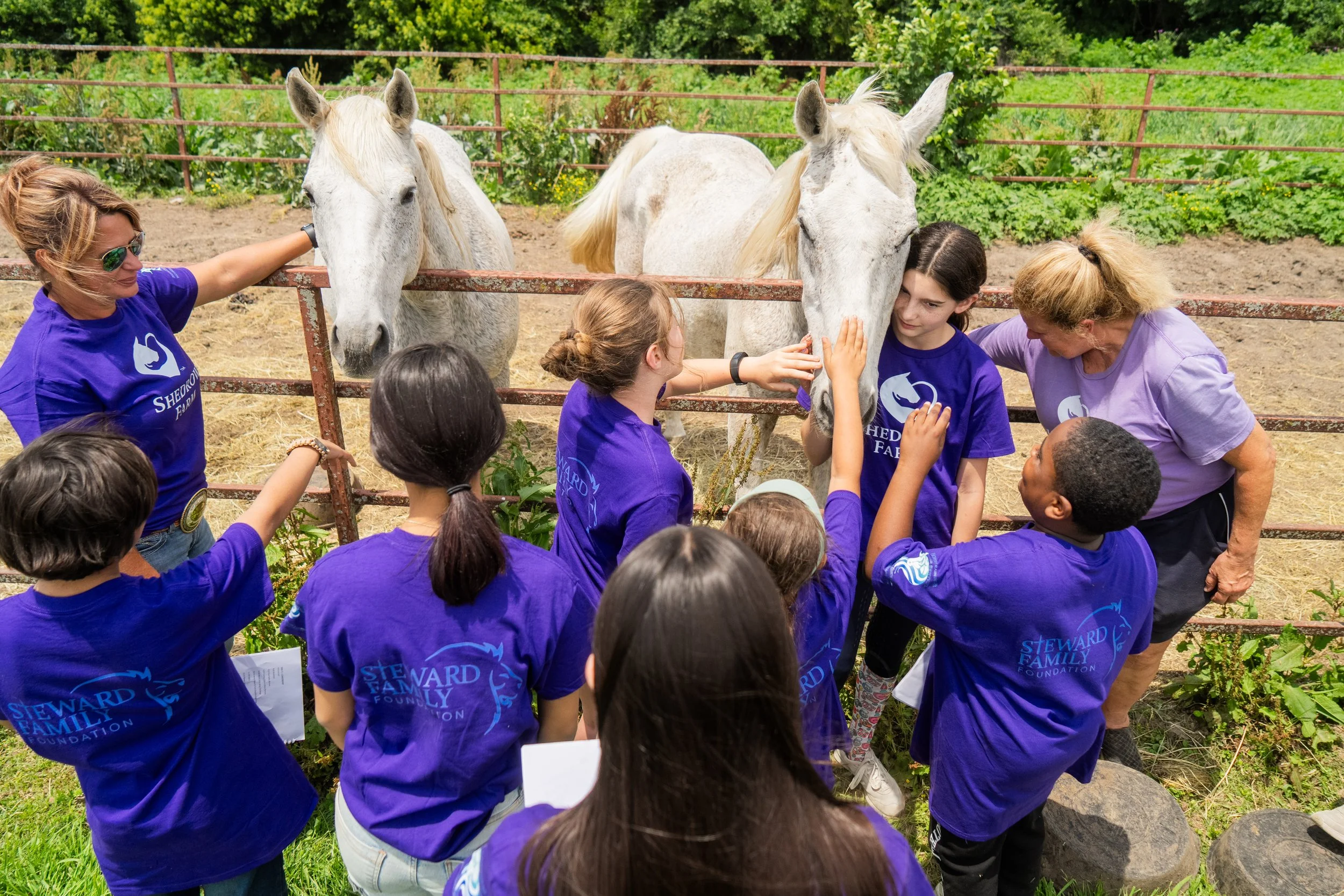 Children and adults wearing purple shirts with 'Steward Family Foundation' logo interacting with and petting white horses behind a metal fence in an outdoor setting with greenery.