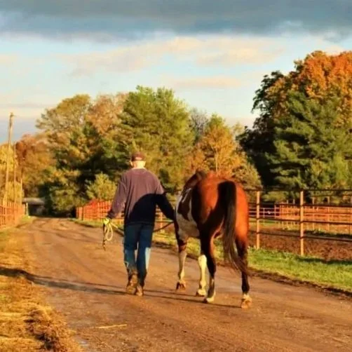 A person walking a horse along a dirt path with trees and a fence in the background during sunset.