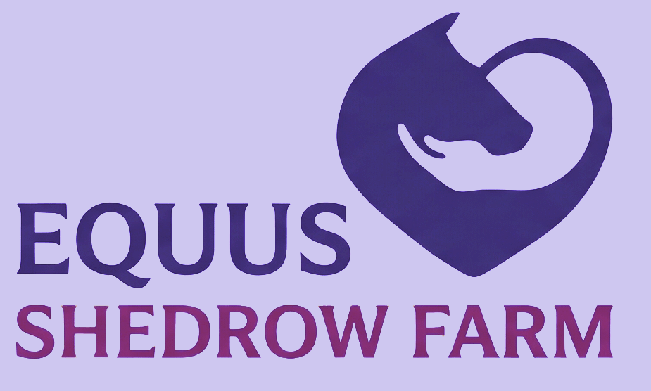Horse Rescue/Sanctuary Shedrow Farm