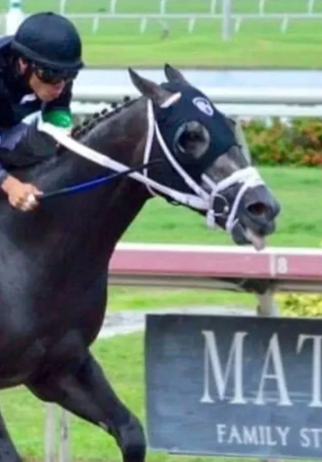 A horse wearing a blinder with a horseshoe design, being ridden by a jockey in black riding gear, appears to be in a race at a racetrack.