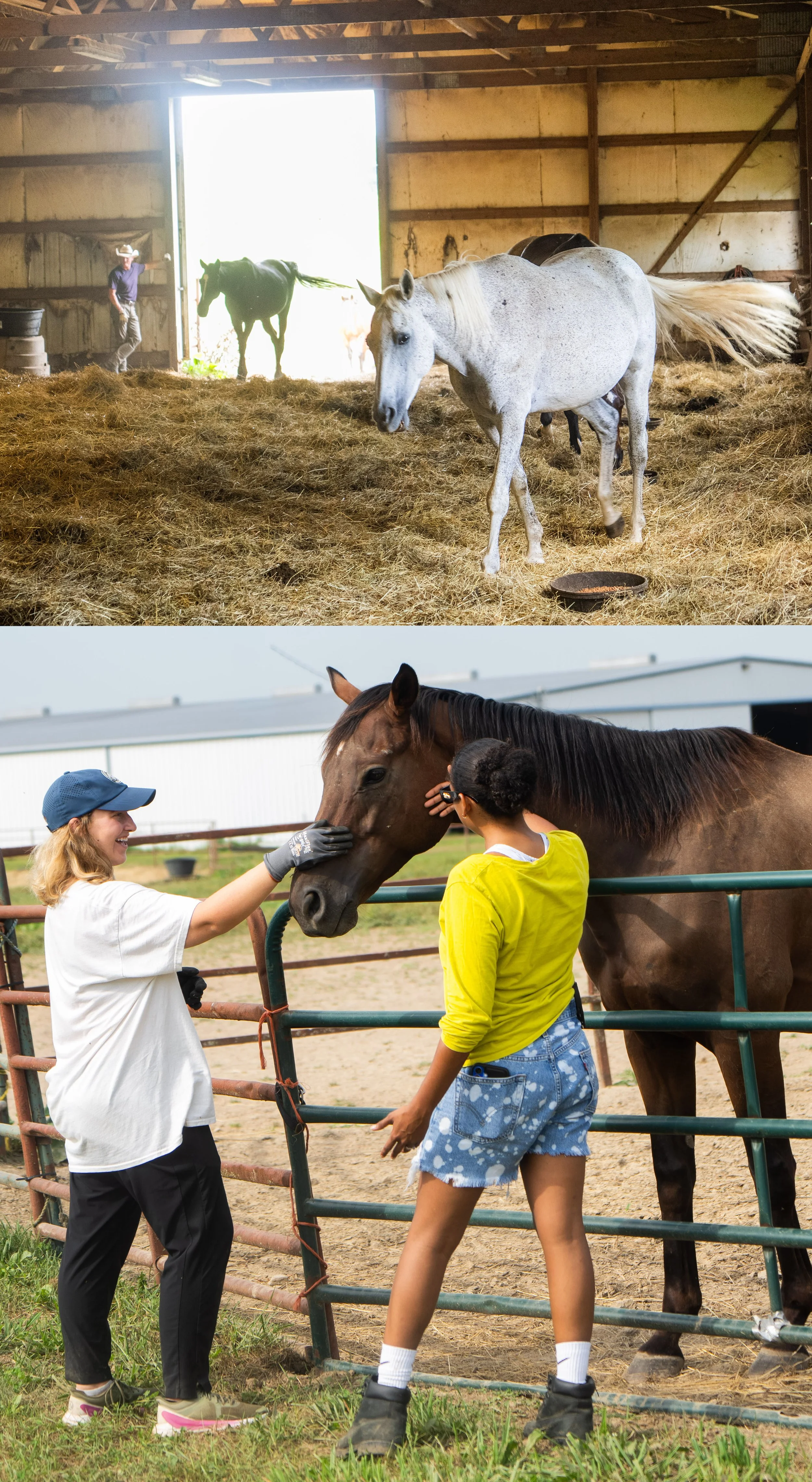 Two women are petting horses at a farm. One is wearing a white shirt and black pants, while the other is in a yellow hoodie and blue shorts. The horses are brown, with one being darker, and they are standing near a metal fence.