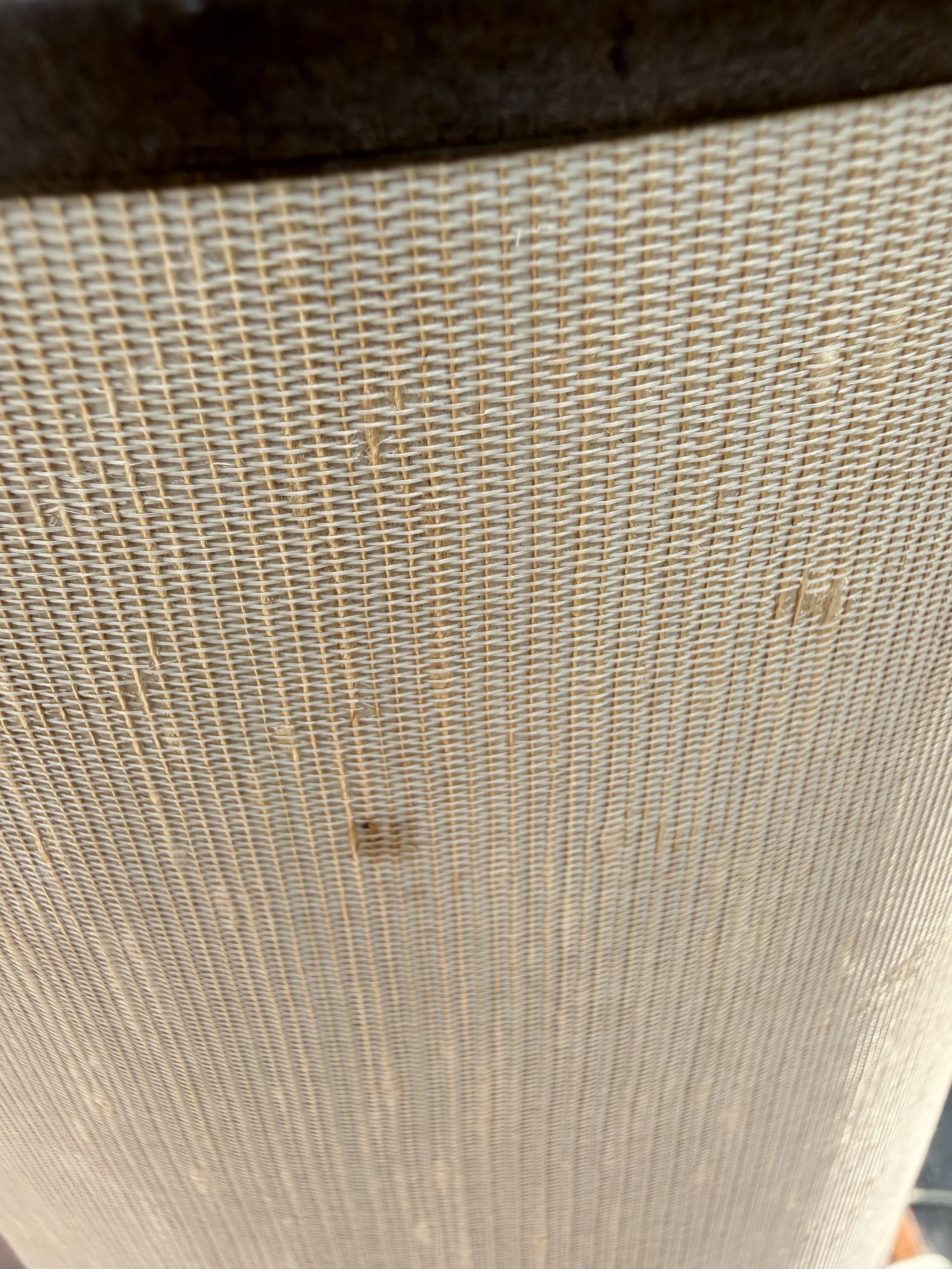 IMG_3460.jpeg