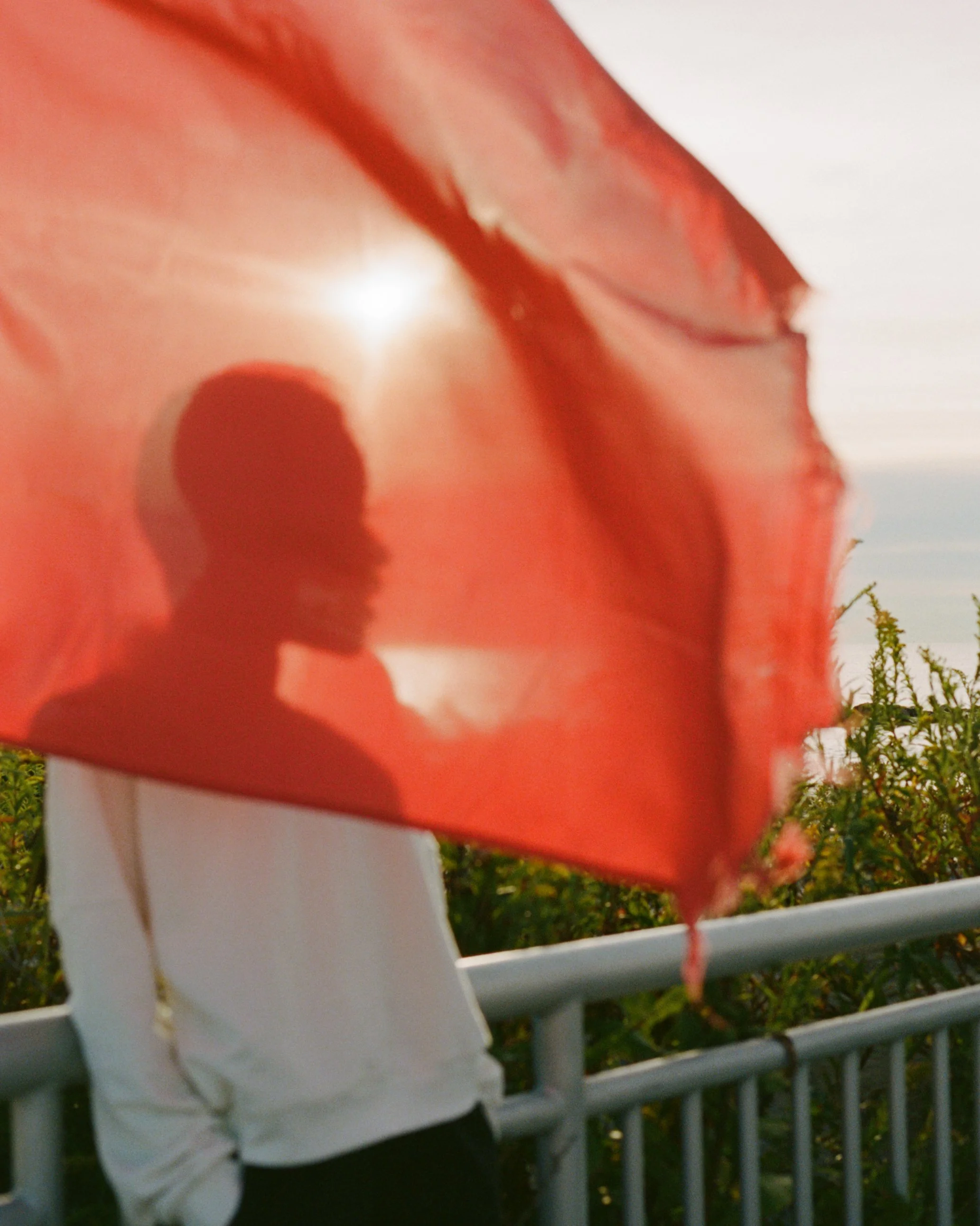 Blurred image of a person holding a large red-orange flower, with some green trees and a white fence in the background.