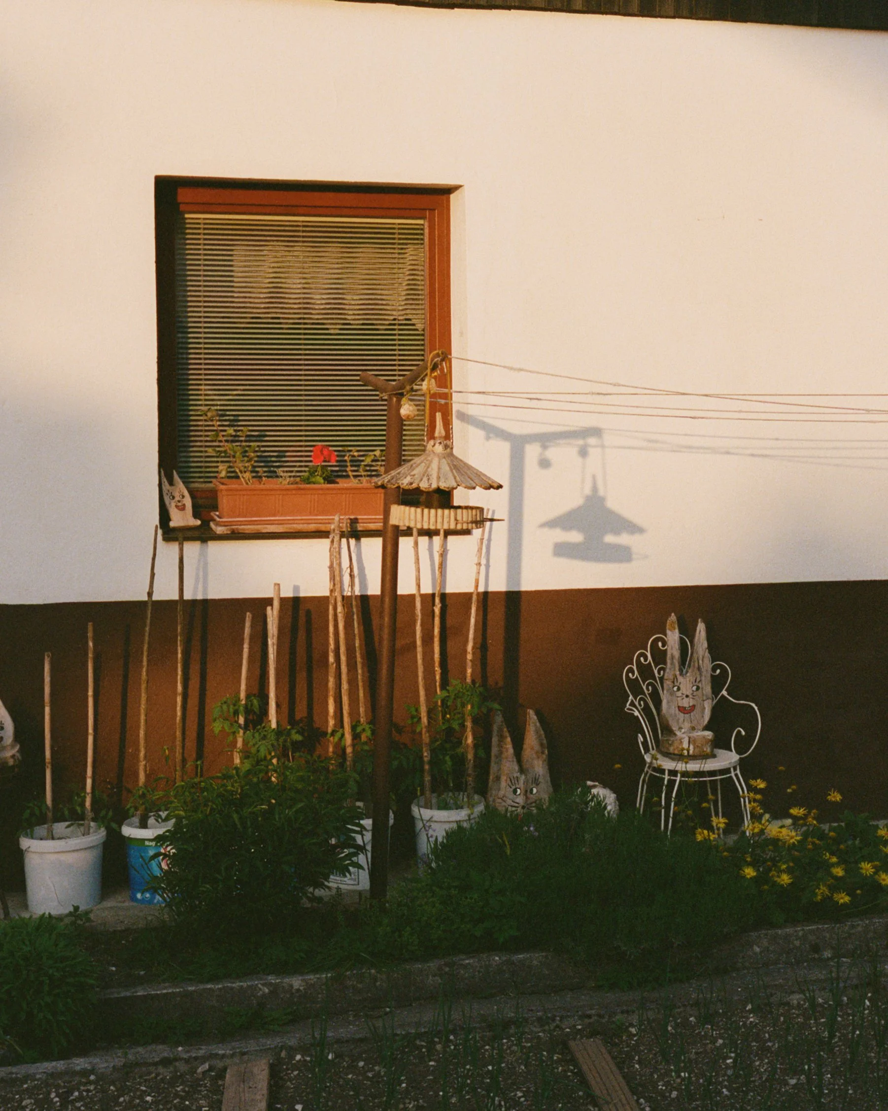 A white exterior wall with a window that has horizontal blinds, a small plant with red flowers in a planter, a wooden birdhouse, and garden decorations including a carved owl and a cat figure, with shadow of a clothesline on the wall.